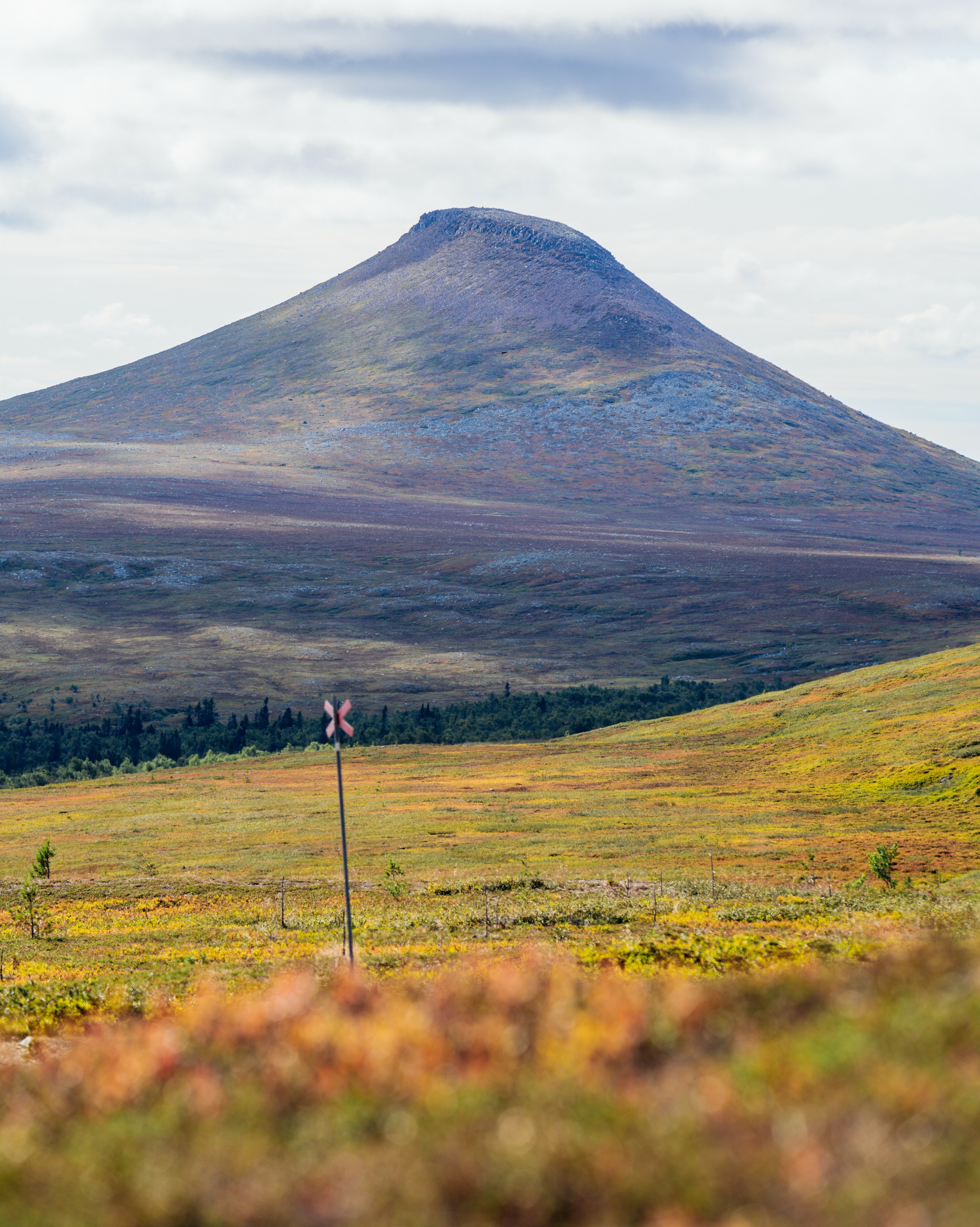 Autumn Arrives Early at Mountain Nature Reserve