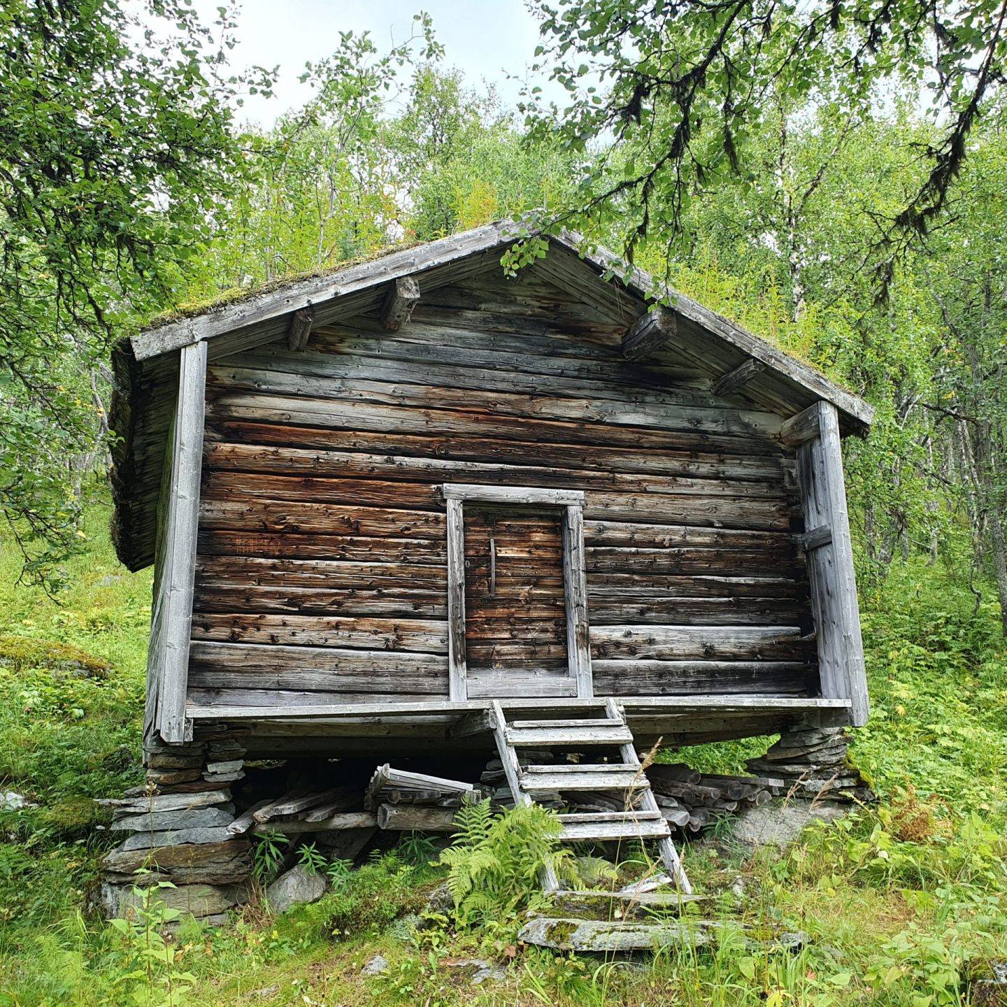 Hike to Sutme Sámi Settlement Past Storfallet