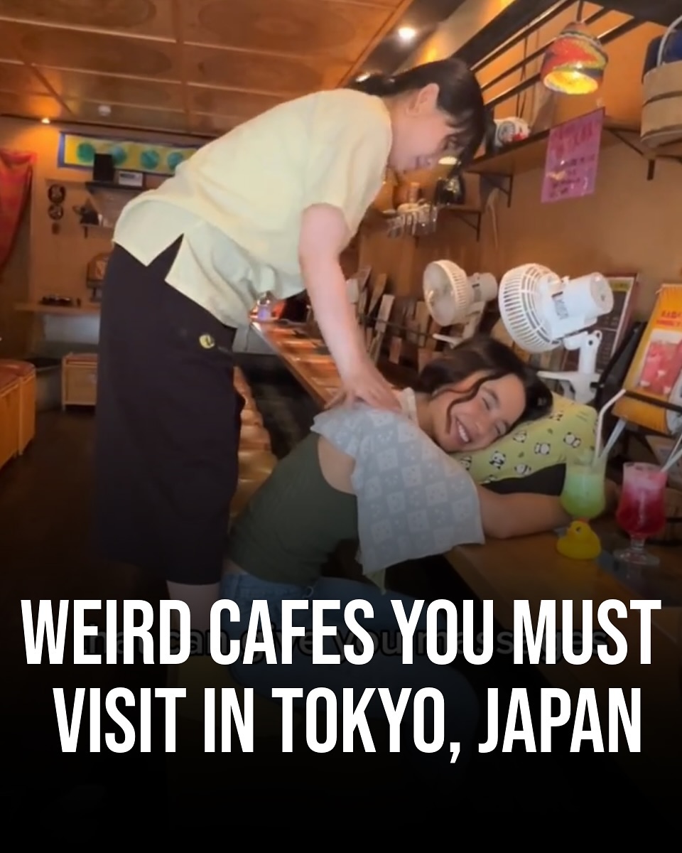 Tokyo Cafes Offer Unique Themed Experiences
