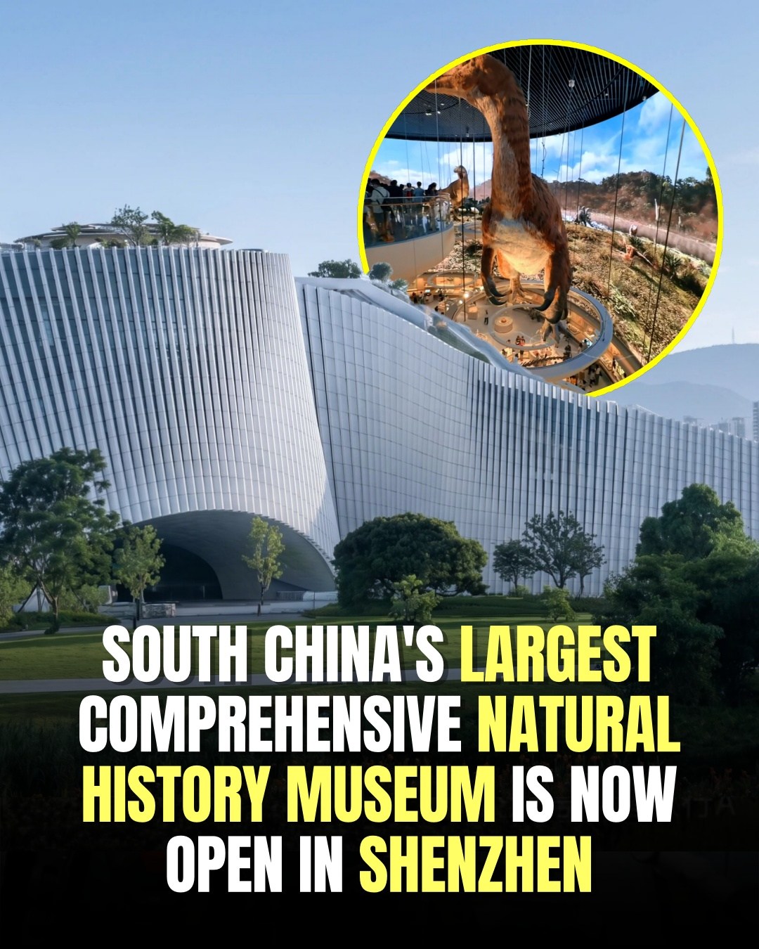Shenzhen Natural History Museum Opens South China's Largest