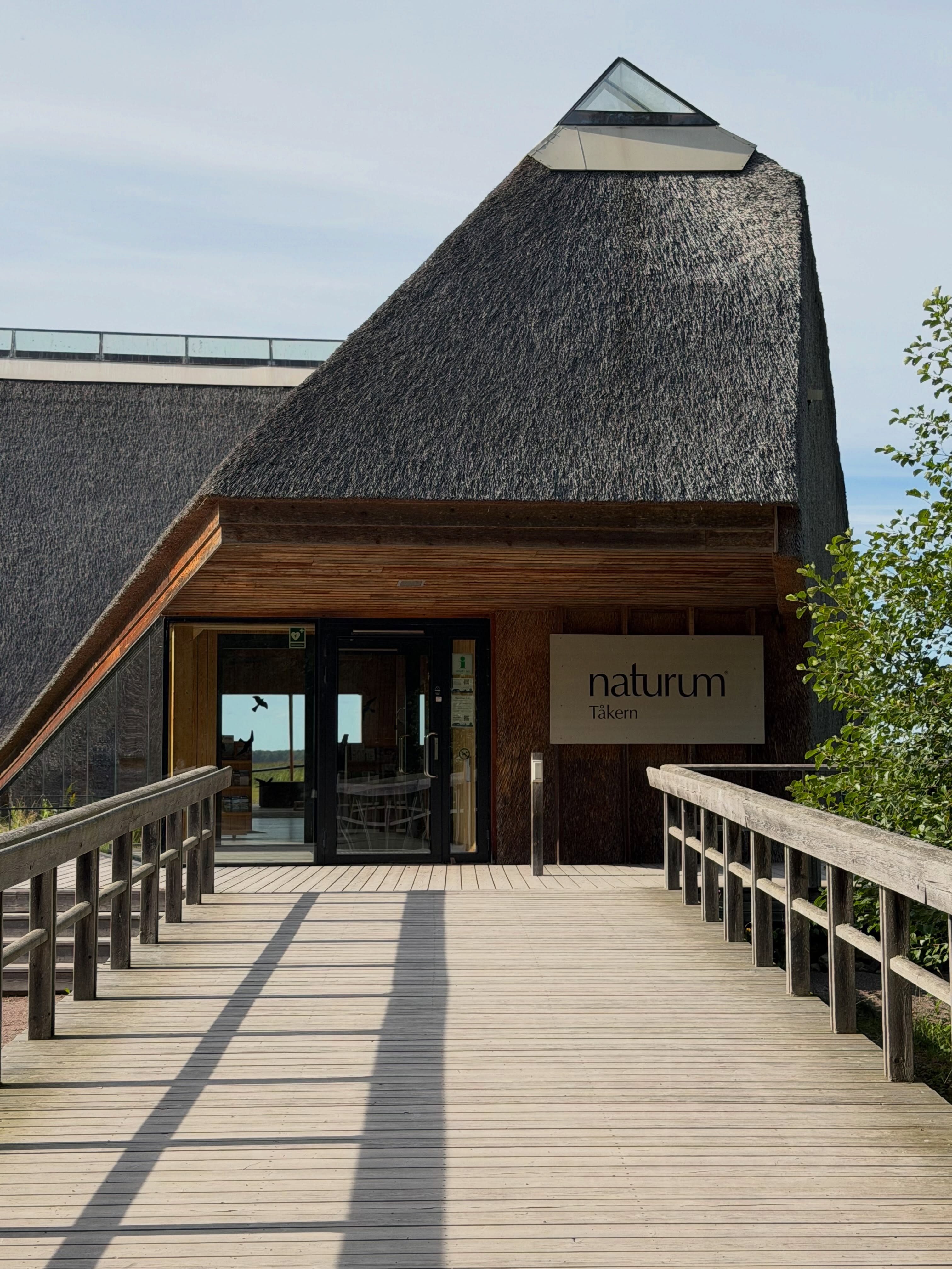 Takern Nature Reserve: Birdwatching and Nature