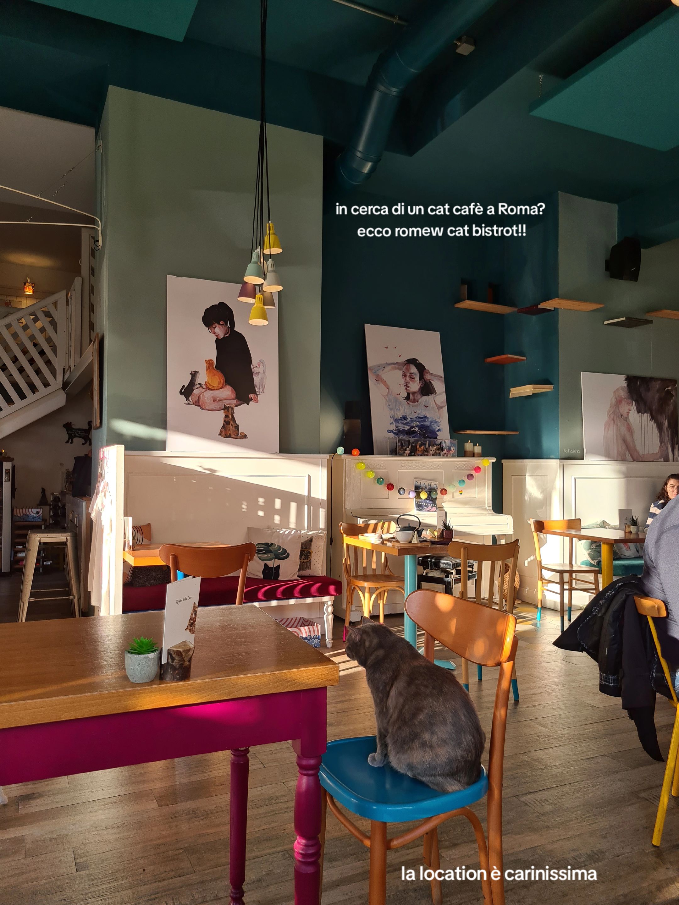 Romeow Cat Bistrot: A Cozy Vegan Cat Cafe