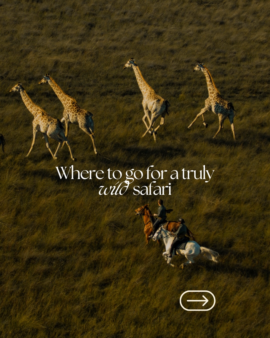 Okavango Delta Horseback Safaris Offer Wild Adventure