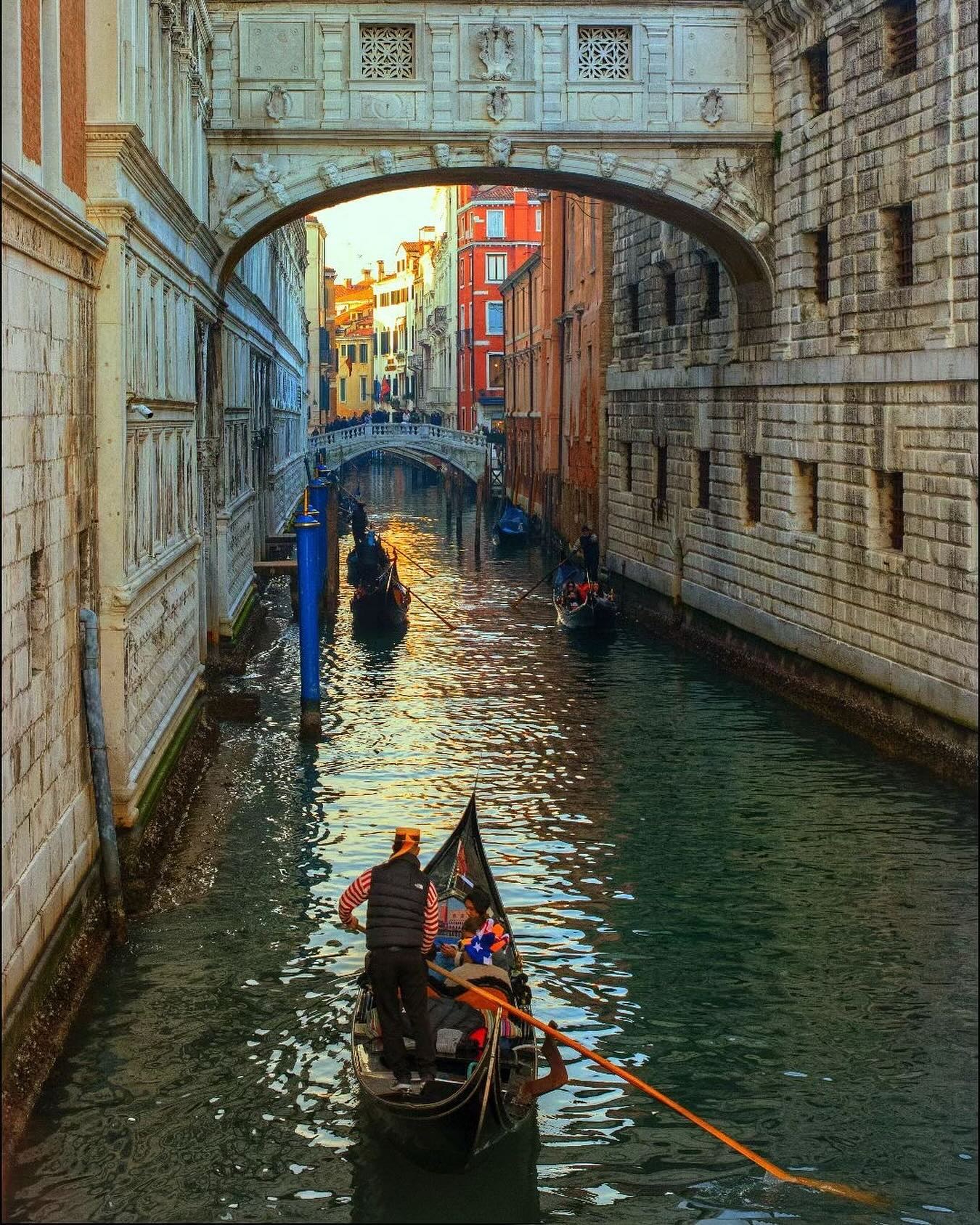 Venice's Bridges and Gondolas