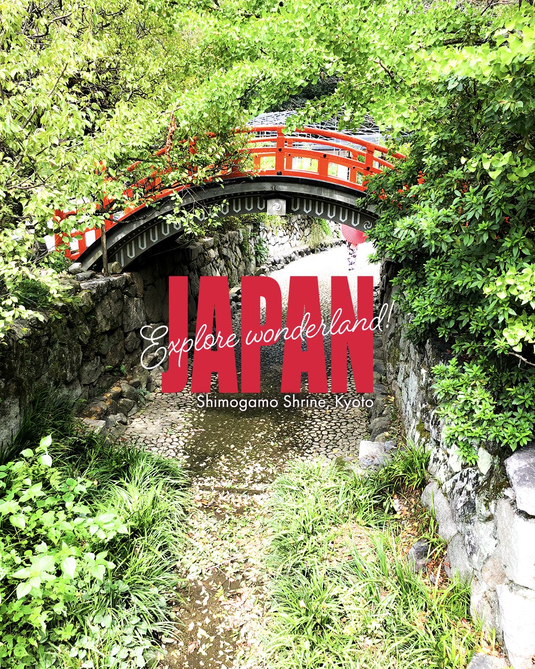Shimogamo Shrine and Tadasu-no-Mori Forest Escape