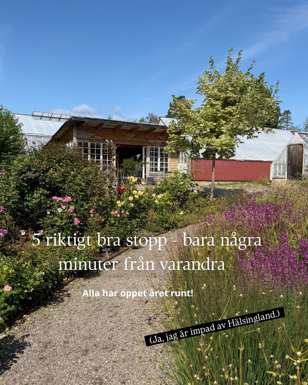 Hälsingland's Year-Round Stops Near E4