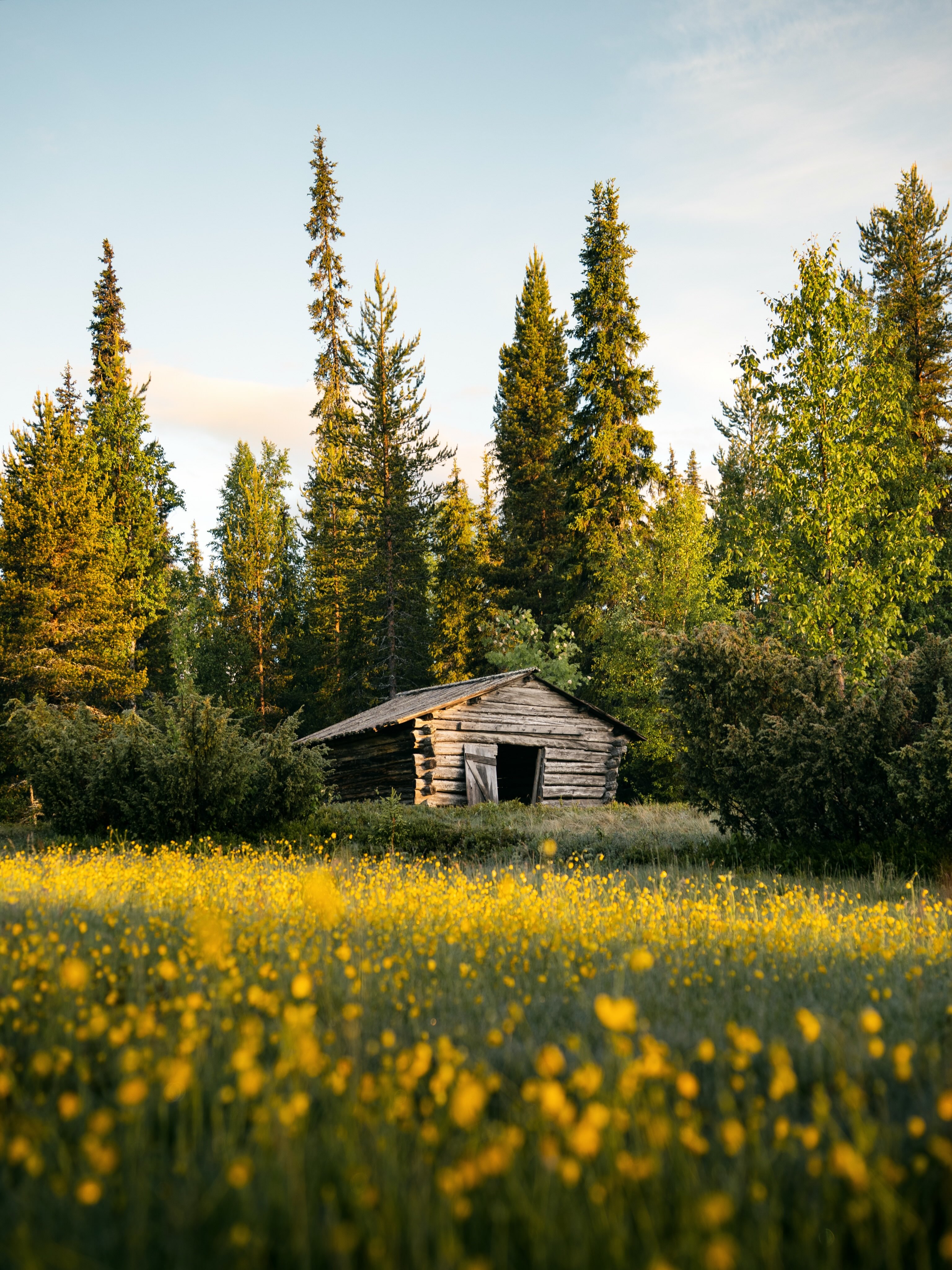Pallas-Yllästunturi National Park's Wilderness