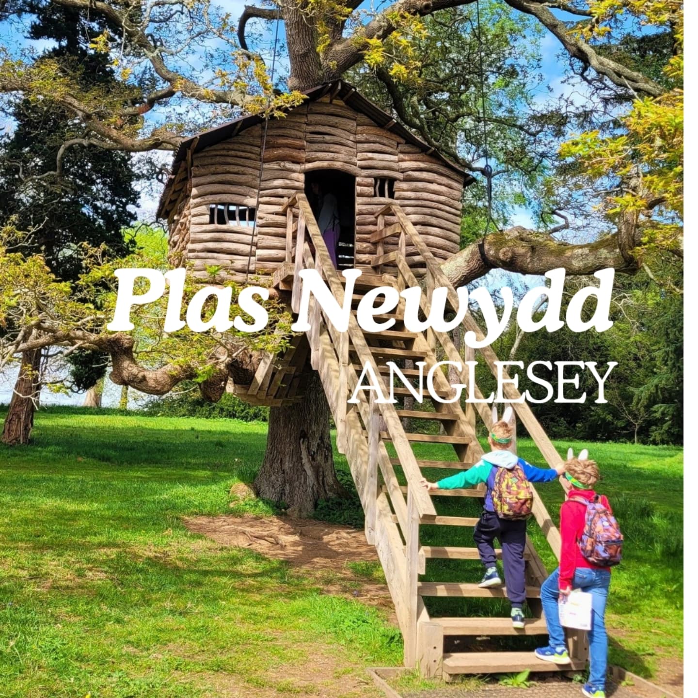Anglesey's National Trust, Woodlands, and Village