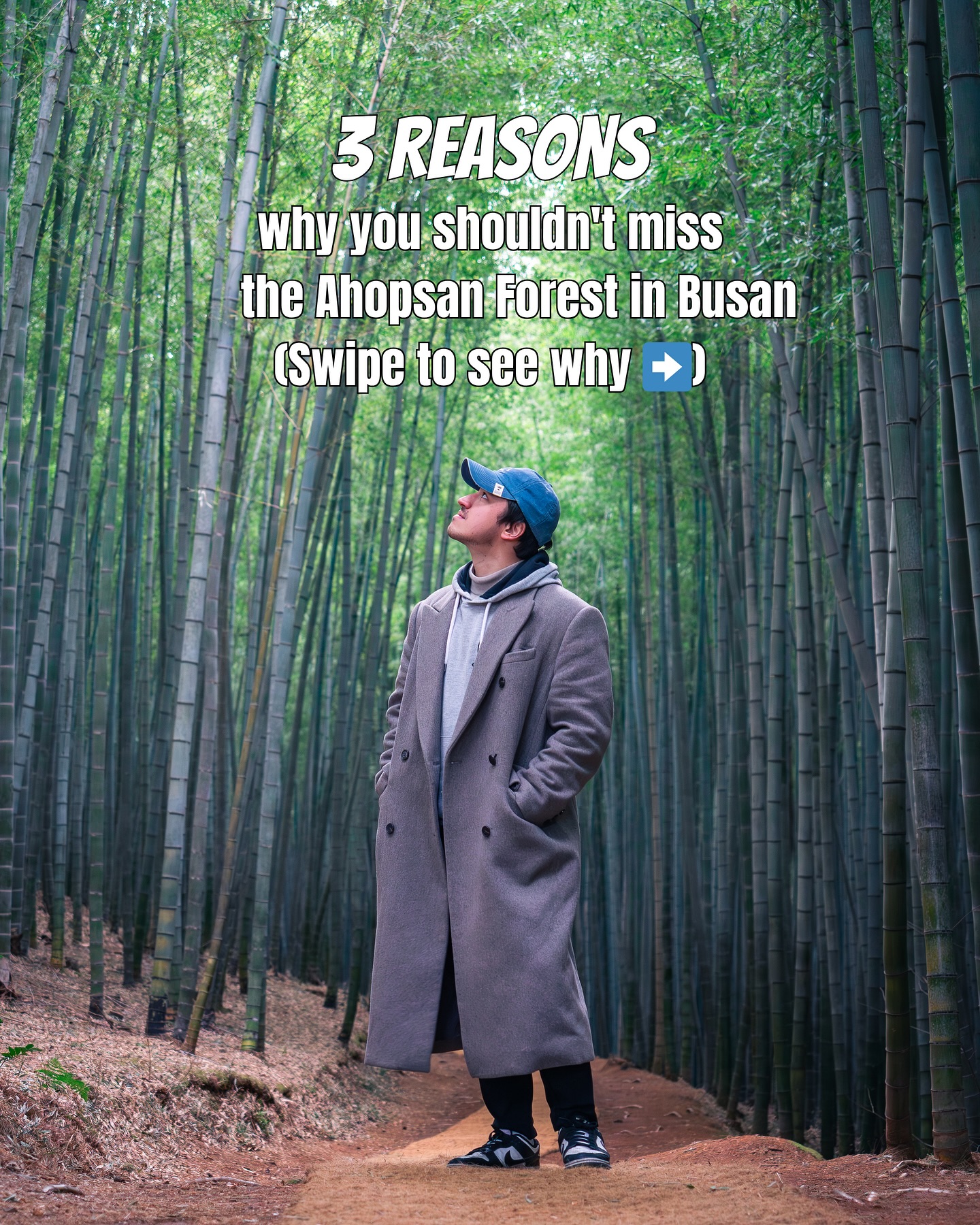 Ahopsan Forest Offers Peace and K-Drama Charm