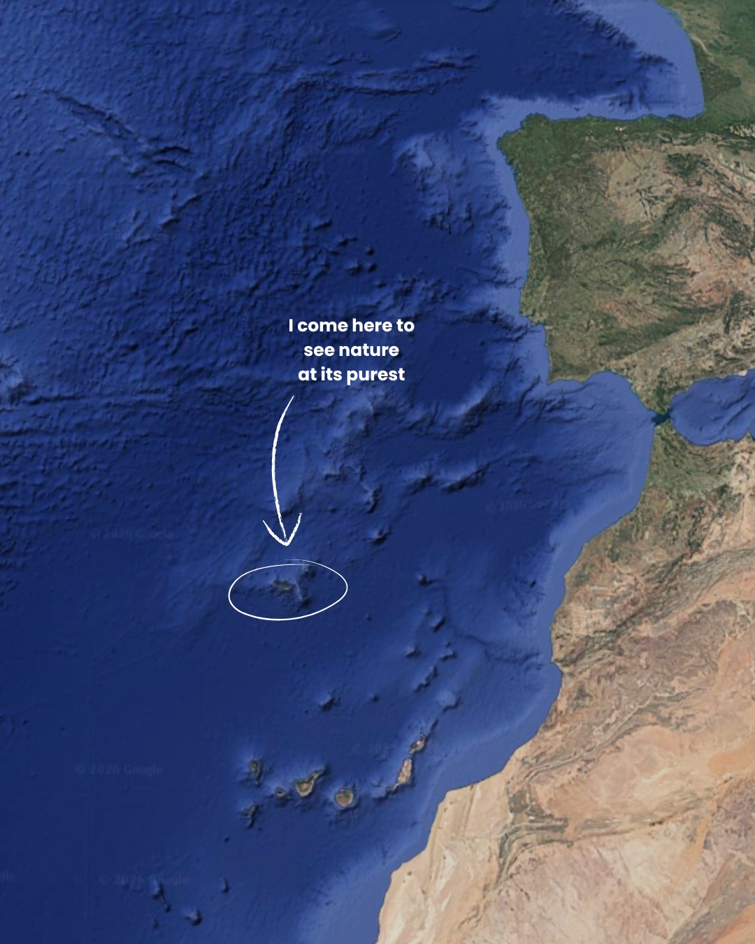 Madeira and Porto Santo: Islands of Natural Beauty