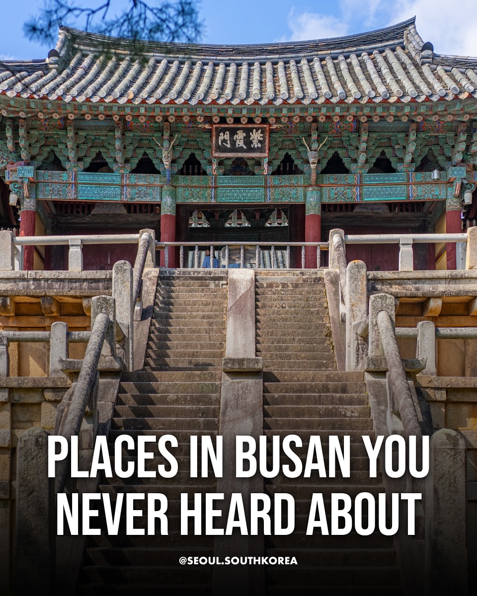 Hidden Gems of Busan for Travelers