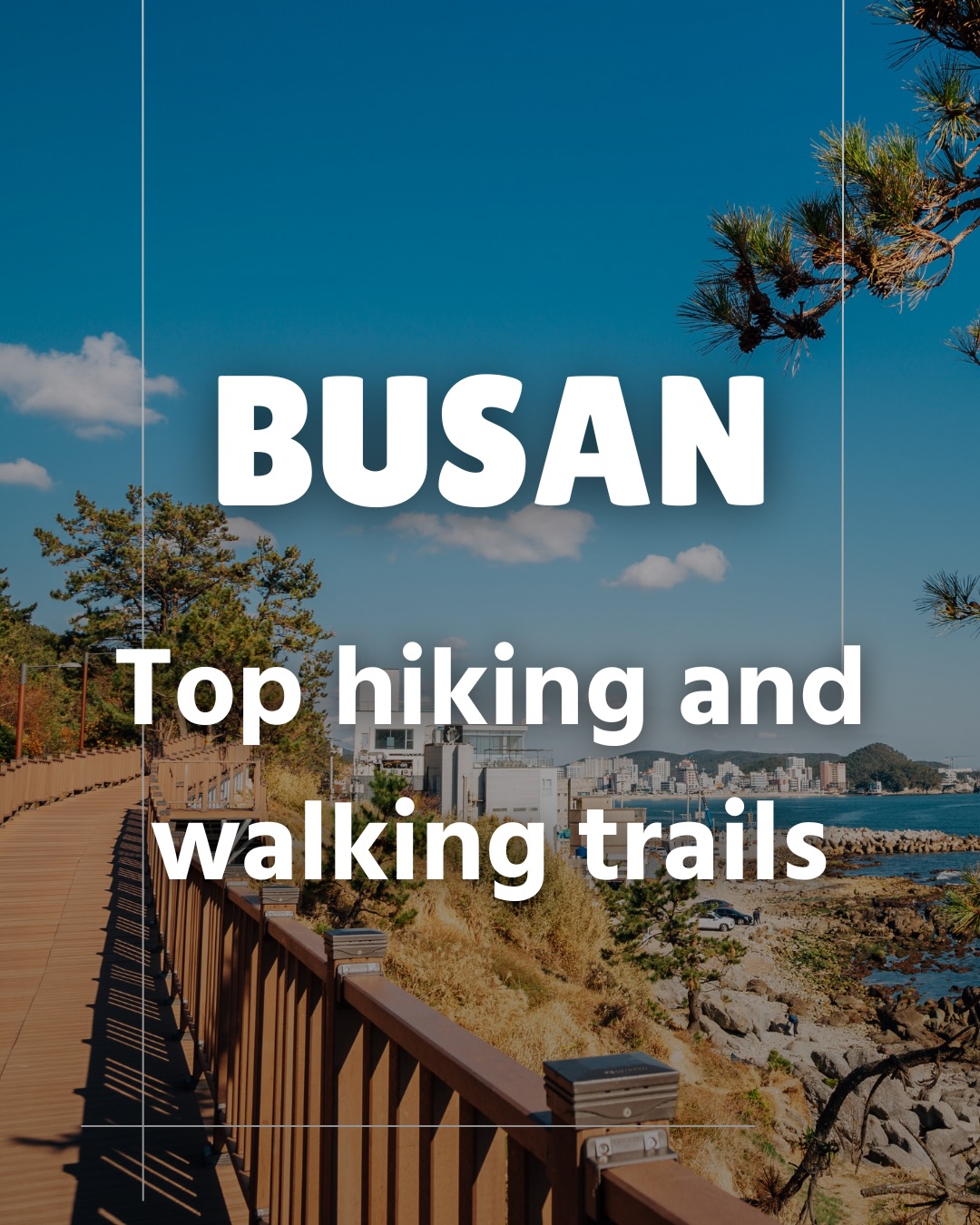 Busan's Top Hiking and Walking Trails