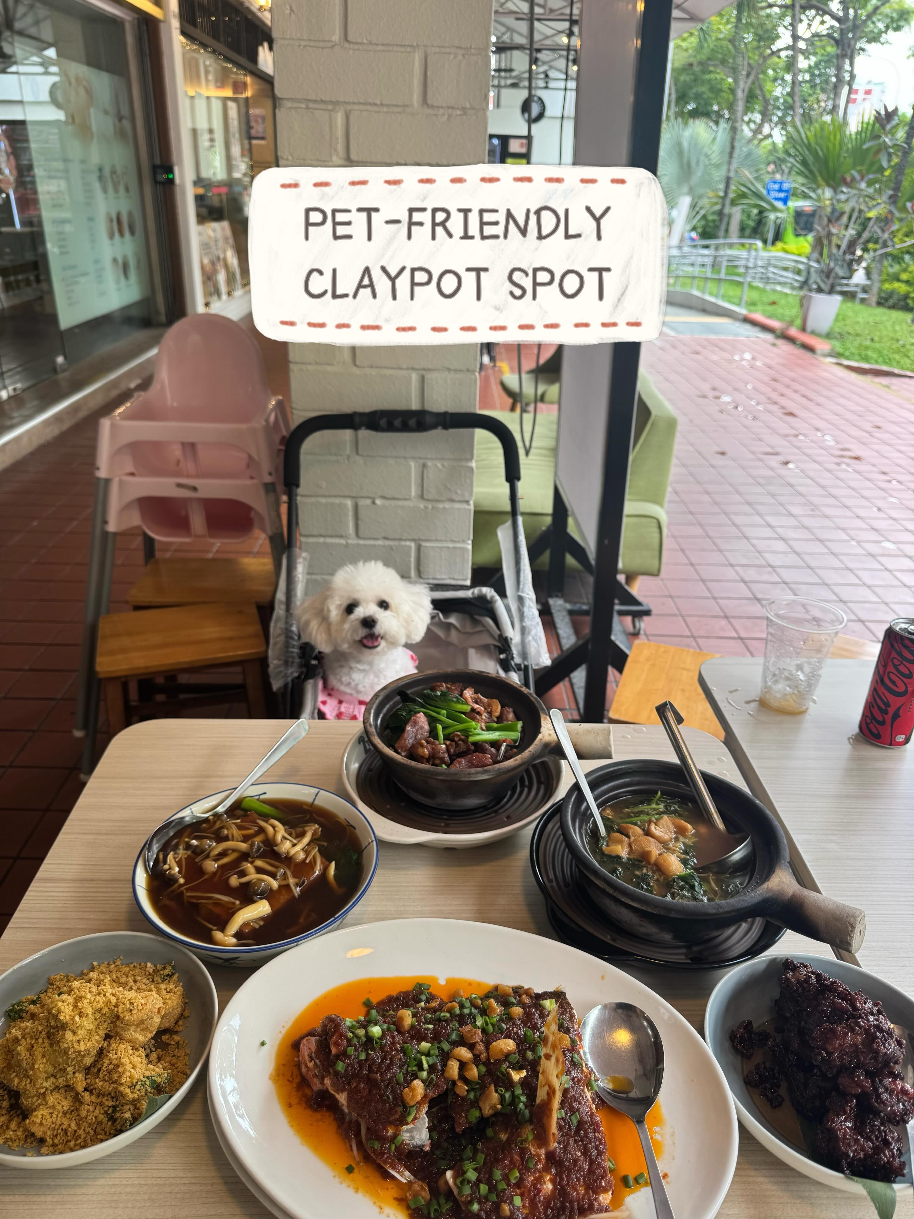 Claypot Valley: A Pet-Friendly Spot