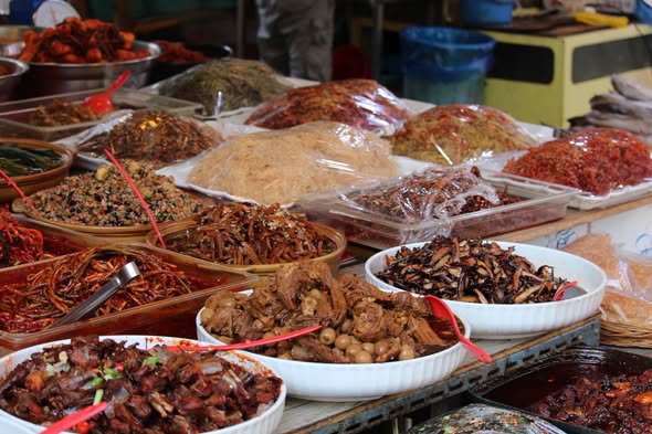 Seoul's Best Traditional Markets for Authentic Eats