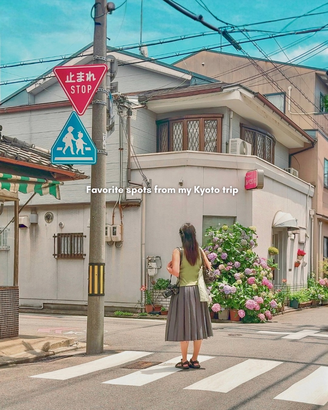 Kyoto's Top Eateries, Gardens, and Shrines