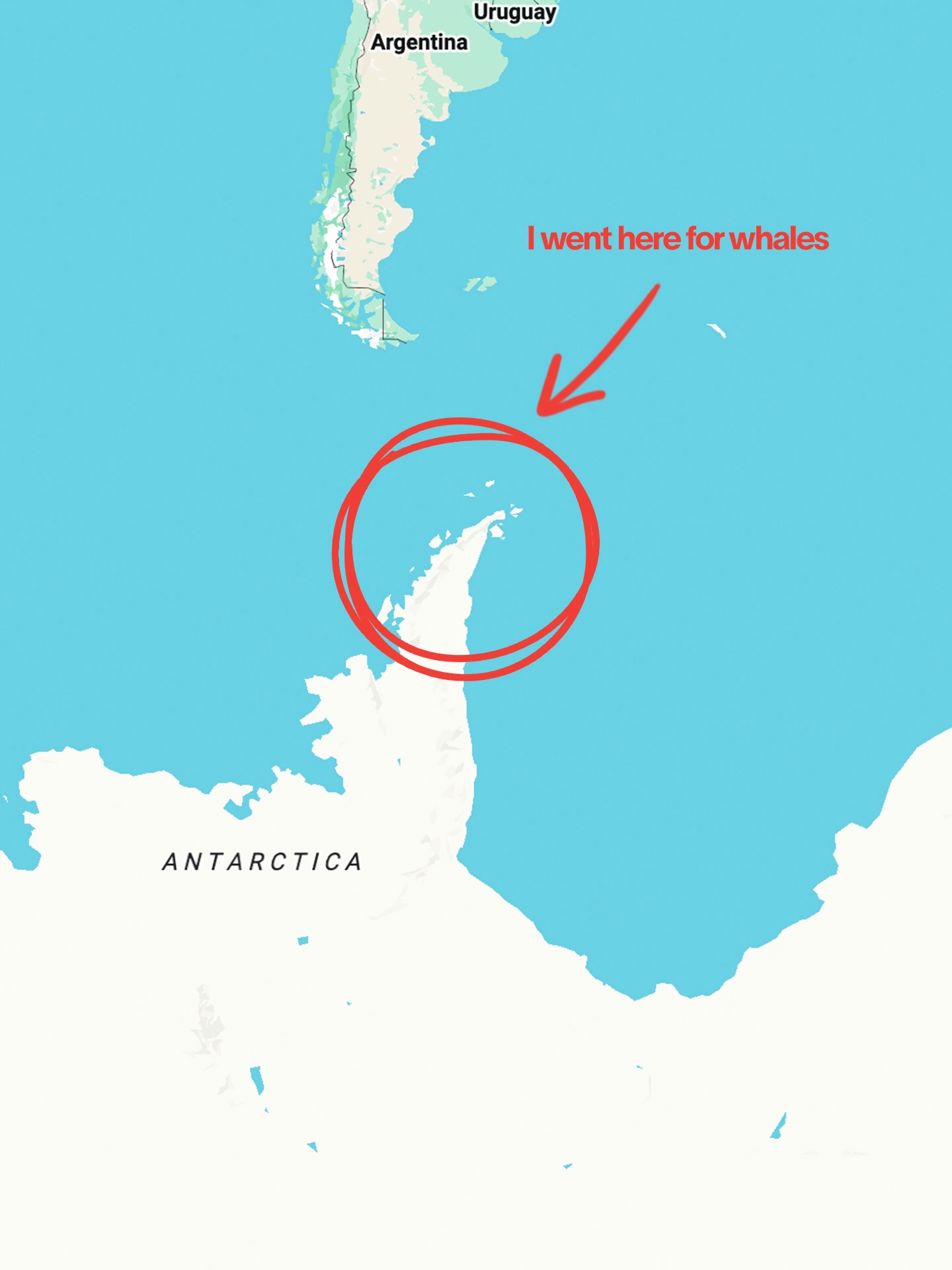 Whale Watching and Scenic Wonders Around the World