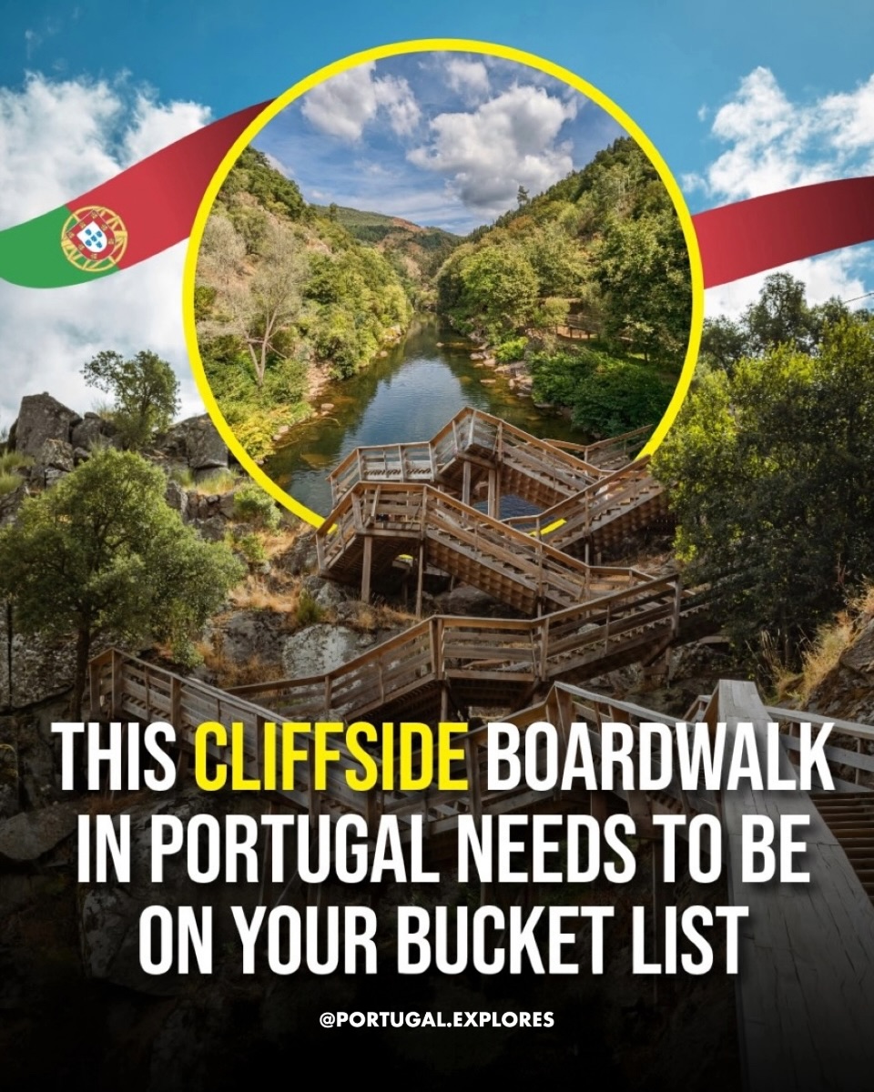 Arouca Geopark Boardwalk and Suspension Bridge