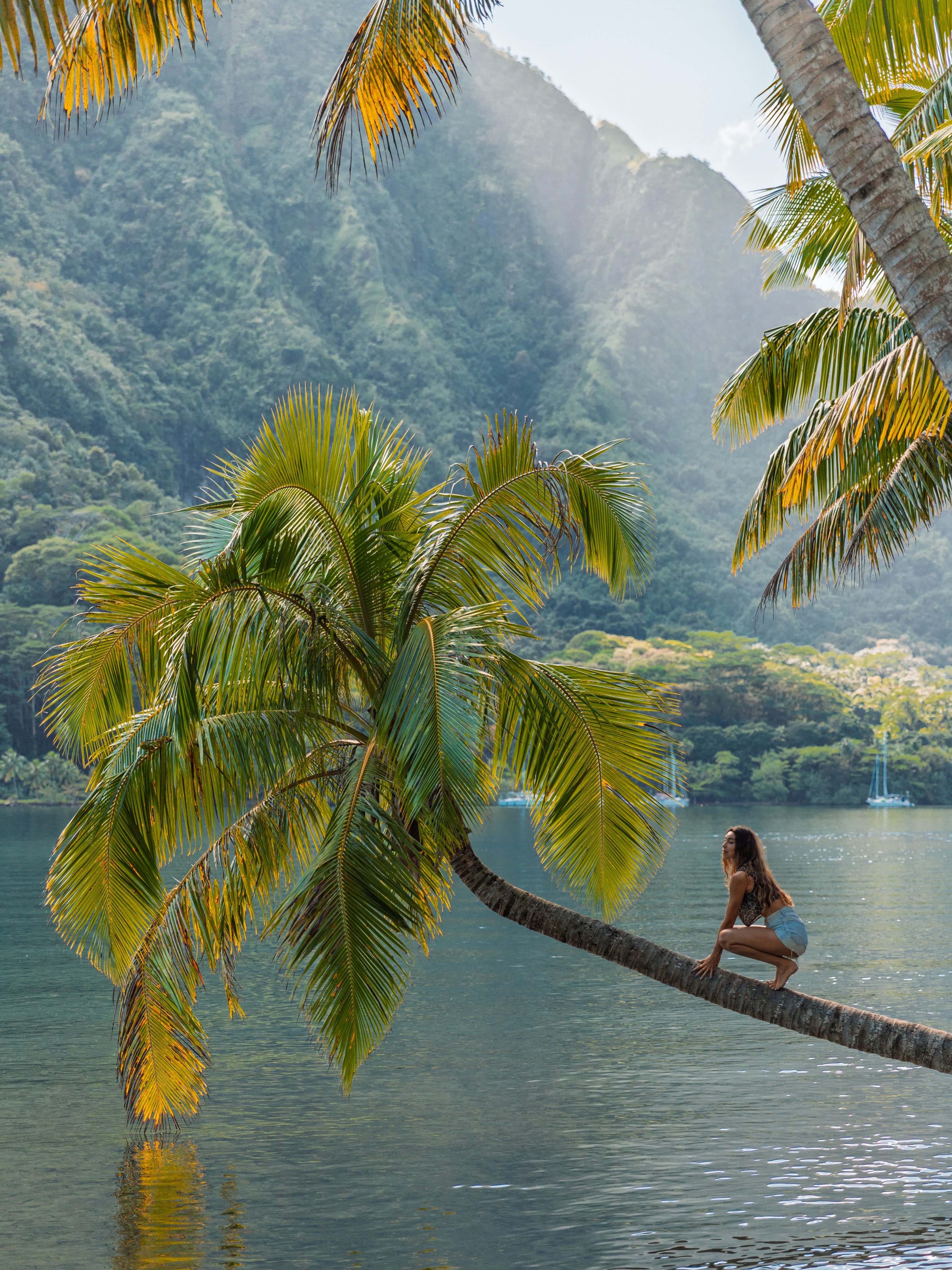 Mo'orea: Protecting Paradise with Land Adoption