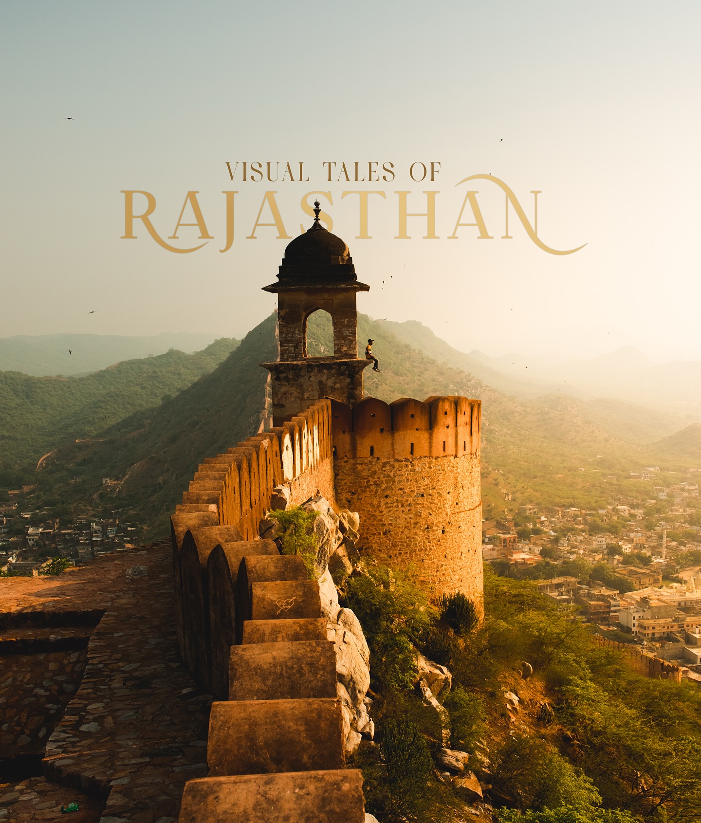 Rajasthan's Palaces, Deserts, and Gates