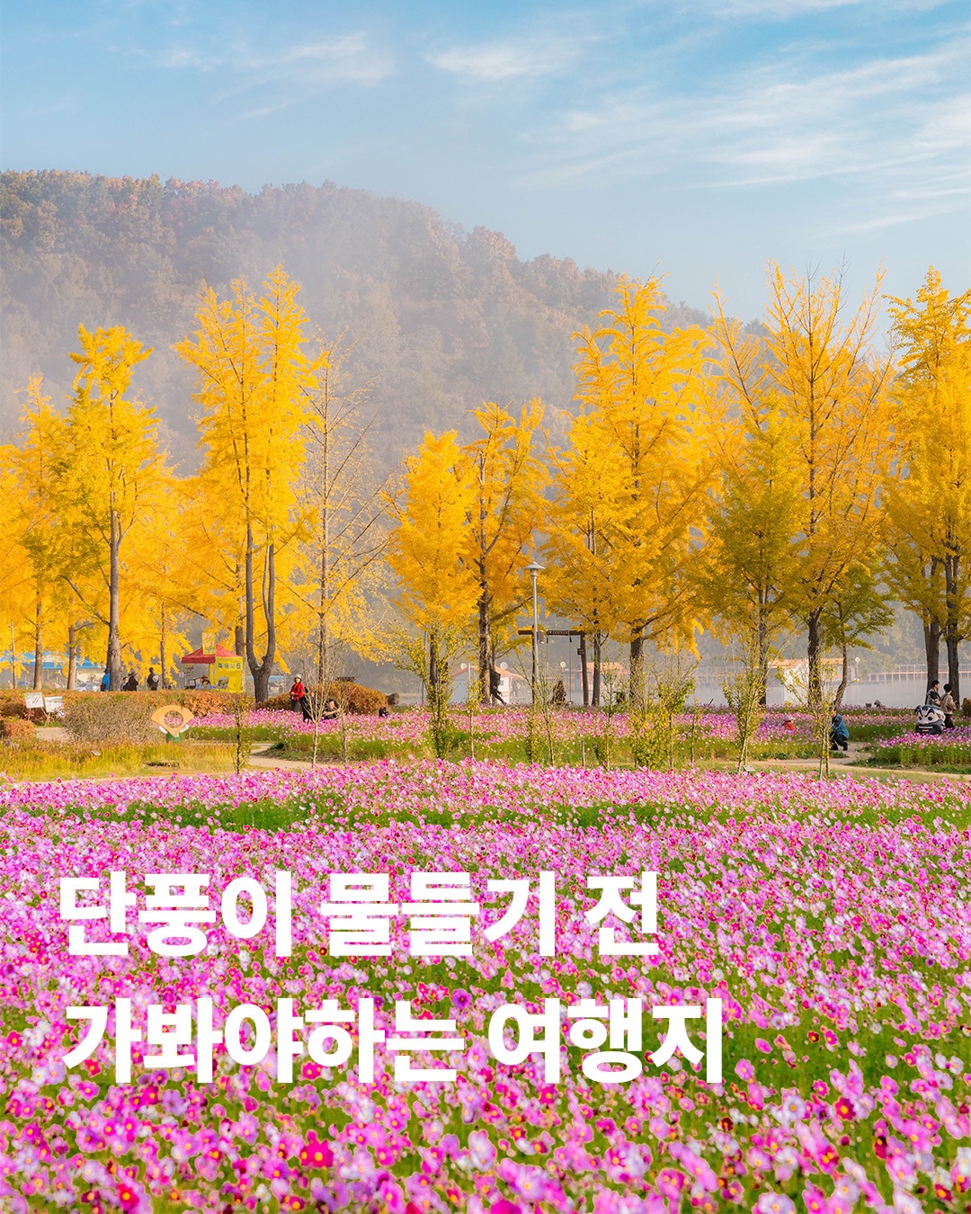 Late Summer Blooms And Early Autumn Flower Destinations