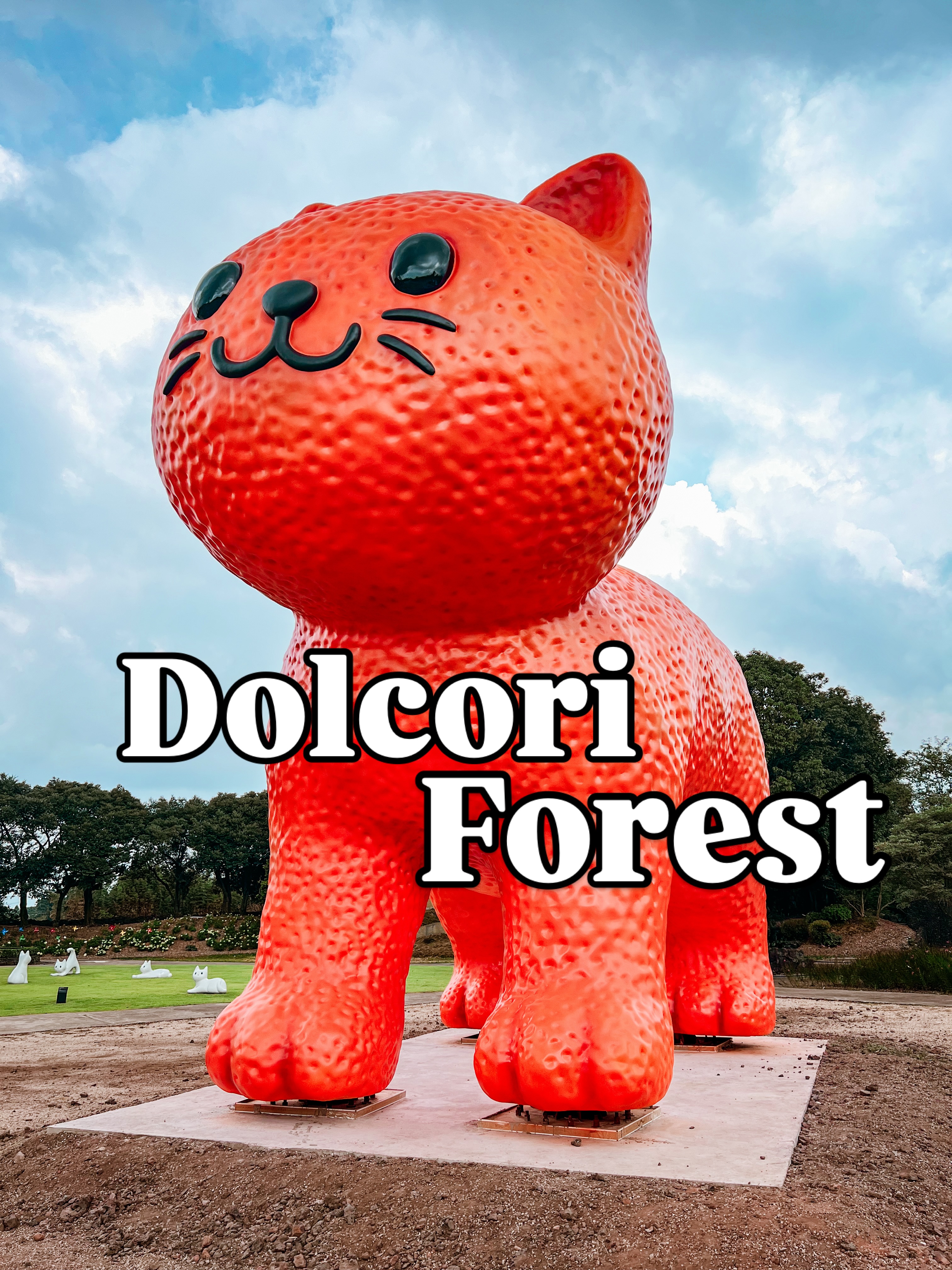 Cat-Themed Attraction Offers Quirky Fun