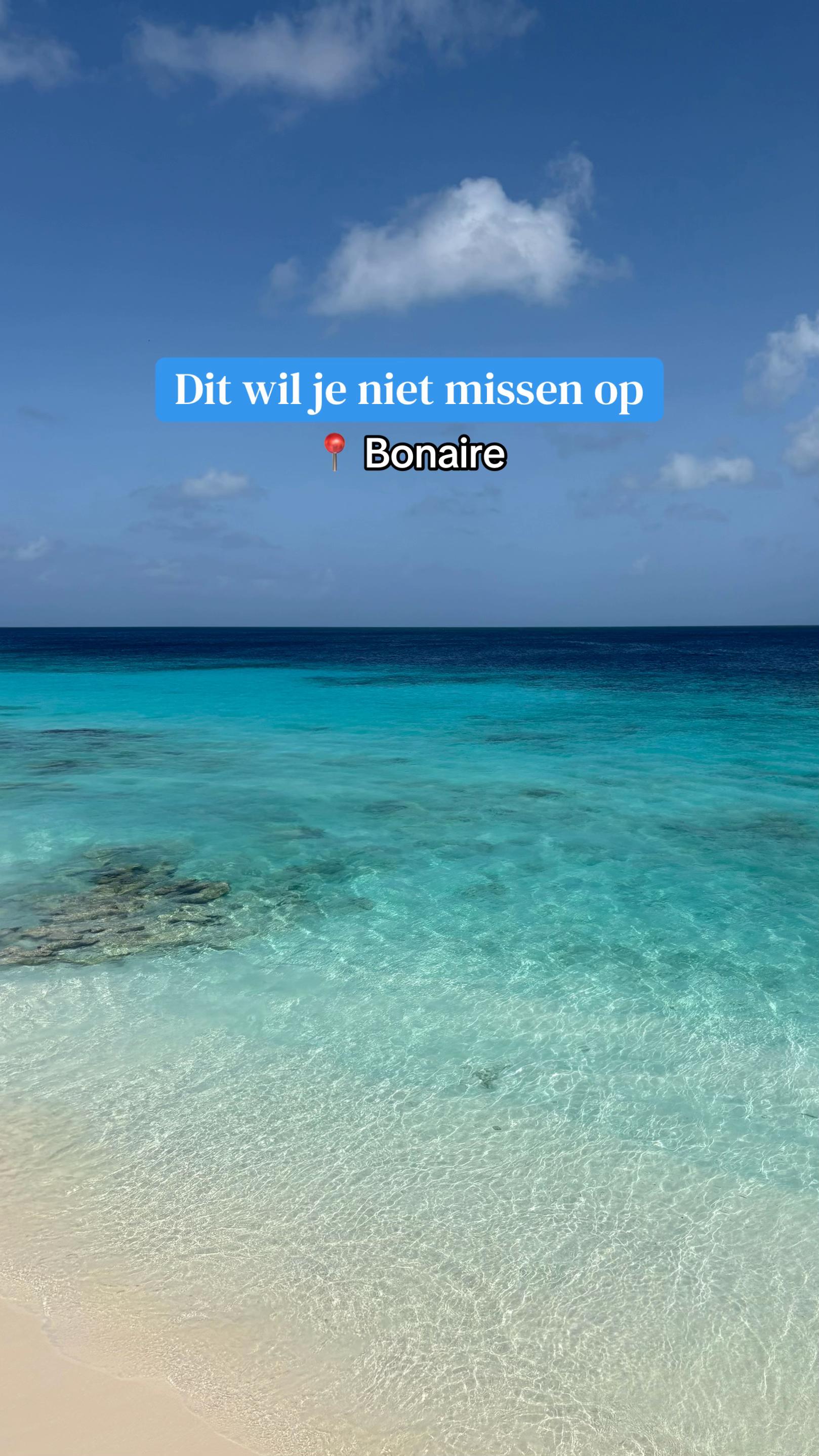 Bonaire's Beaches, Parks, and Dining Highlights