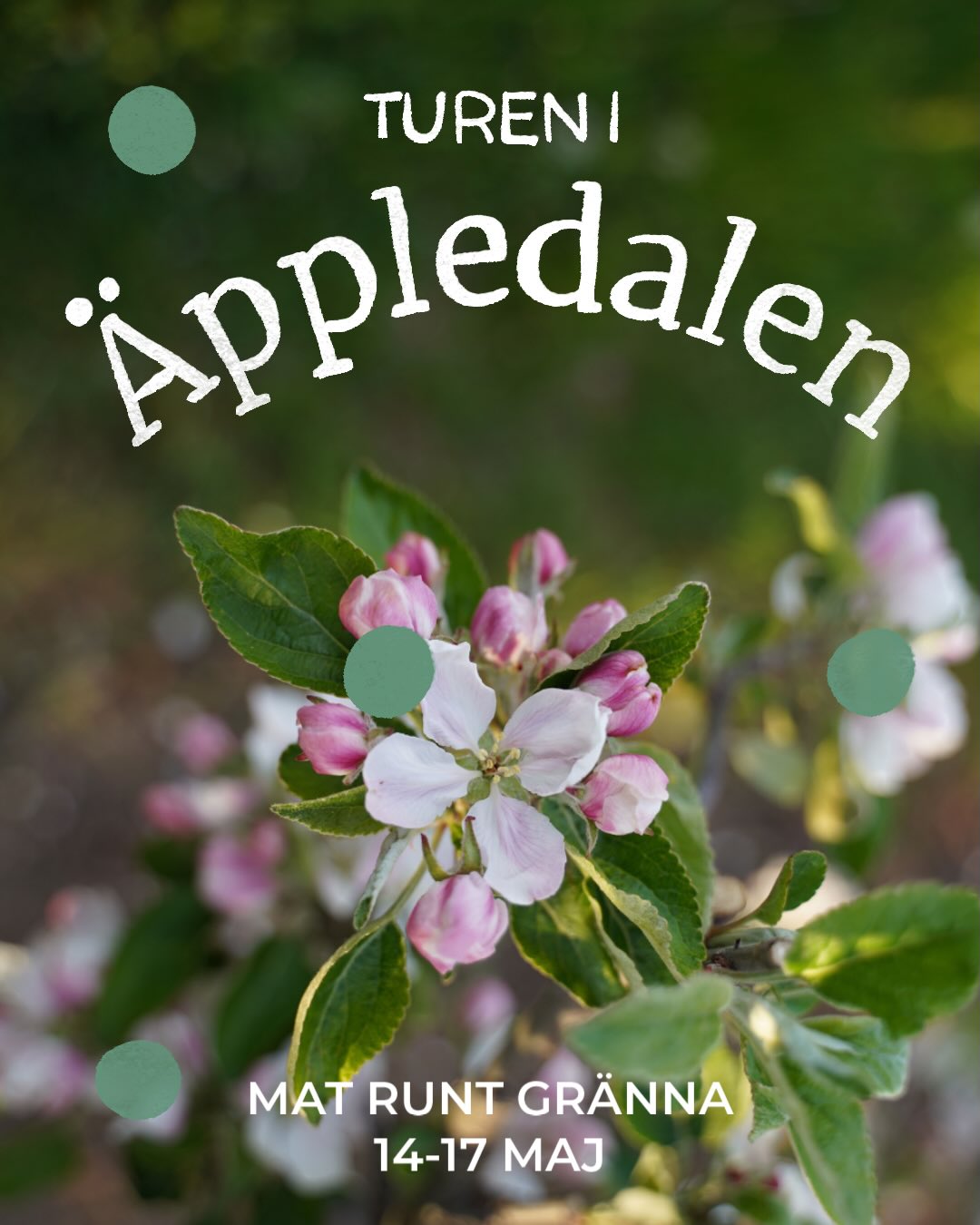 Mat Runt Gränna | Eventhelg Kristi Himmelsfärd 🍎, Strands Gård - Gårdsbutik