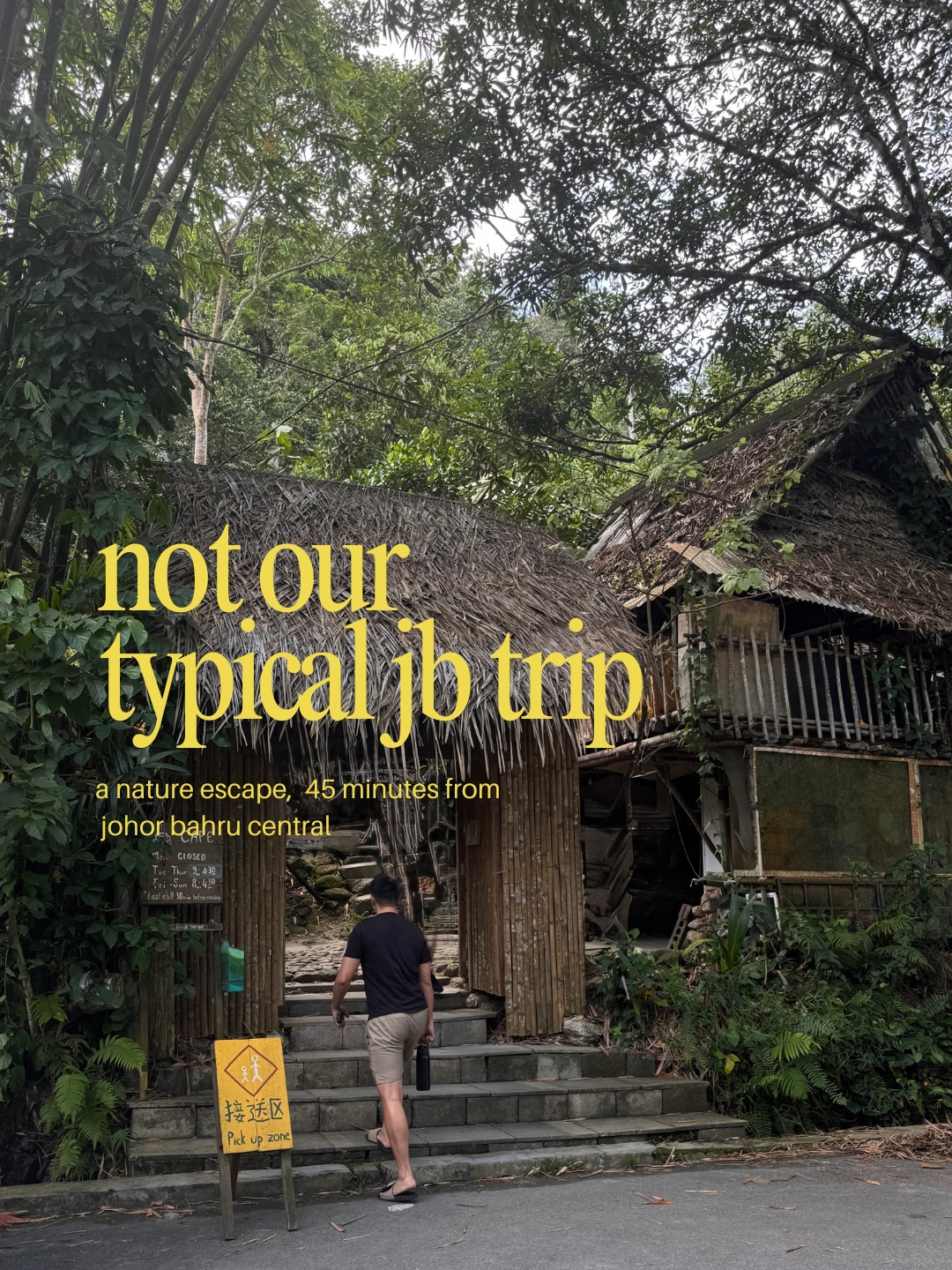 Rainforest Cafe And Outlet Shopping Escape