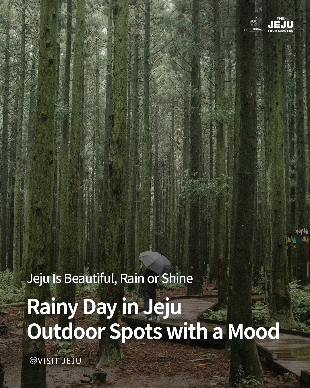 Jeju's Atmospheric Rainy Day Destinations