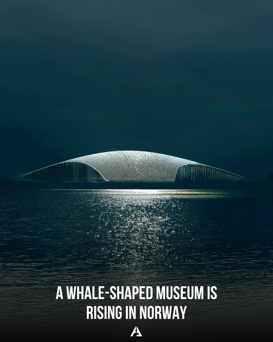 Arctic Whale Museum and Watching Destination