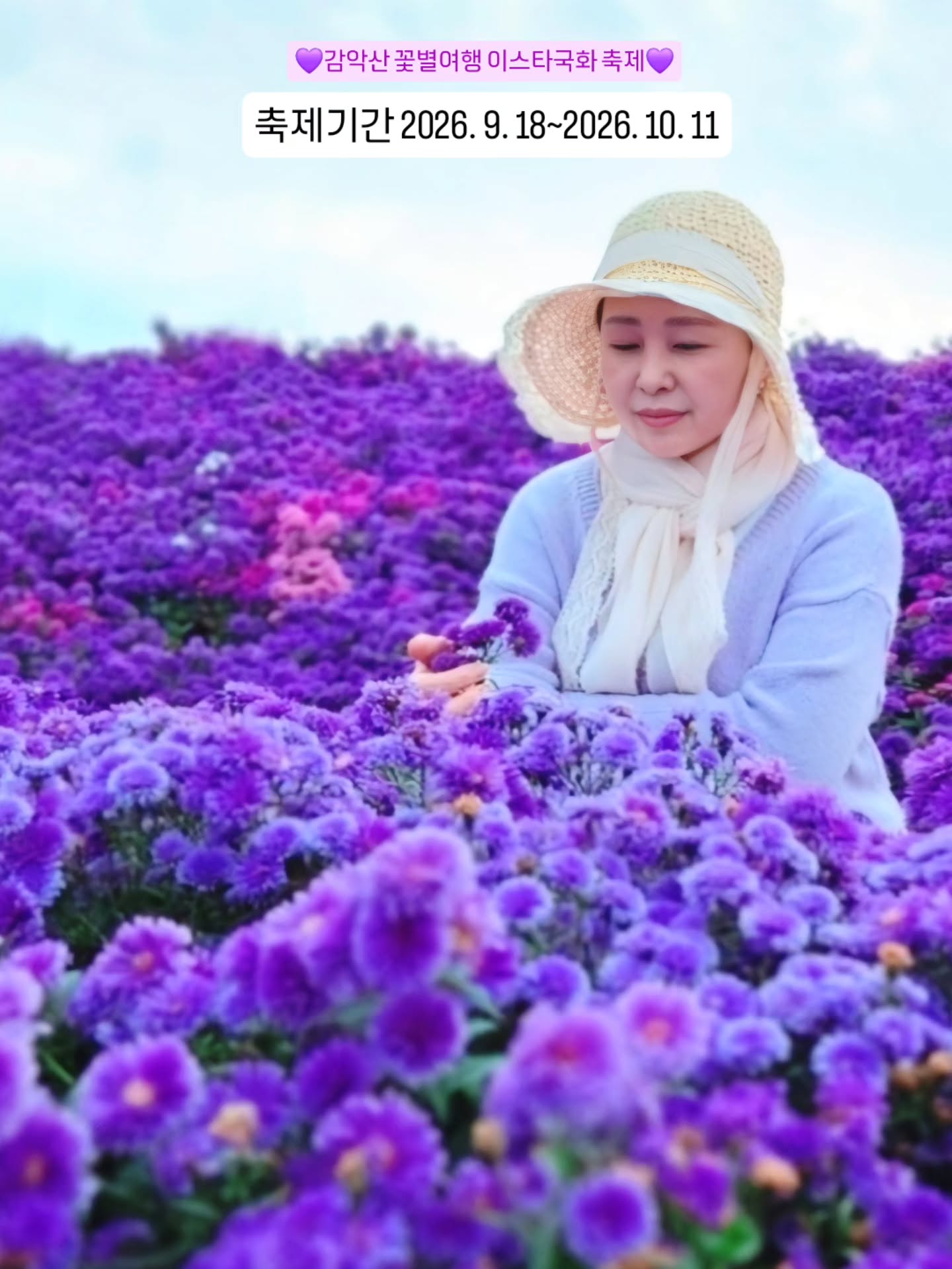 Geochang Gamaksan Aster and Gujeolcho Flower Festival