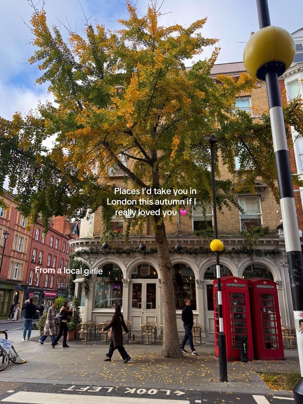 London's Autumnal Charm: Parks, Gardens, and Cozy Cinema