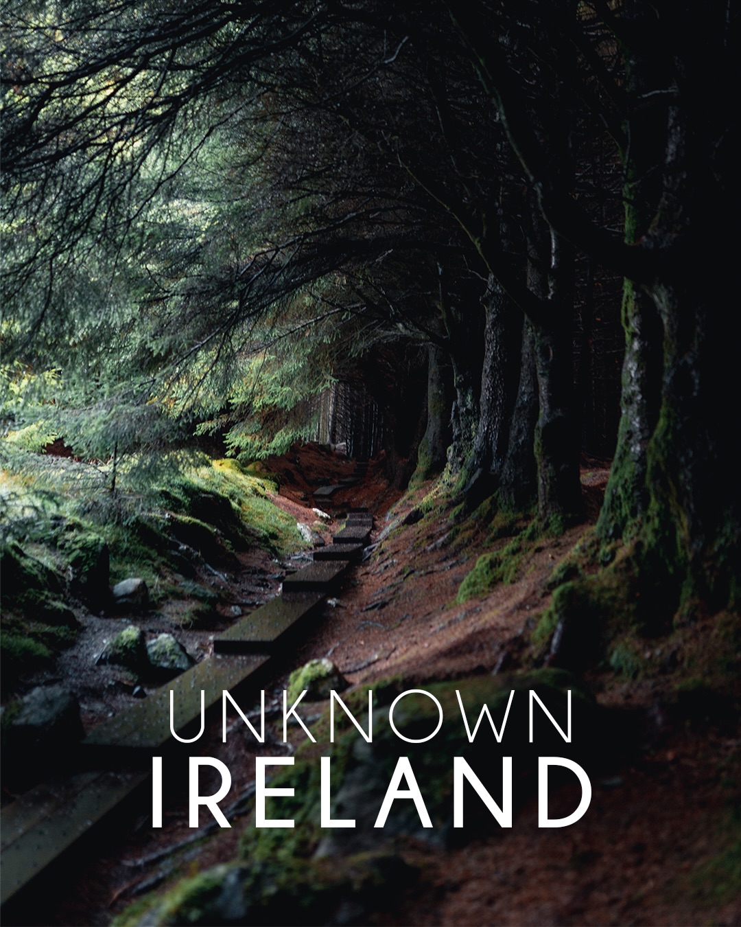 Bucket List Destinations Across Ireland