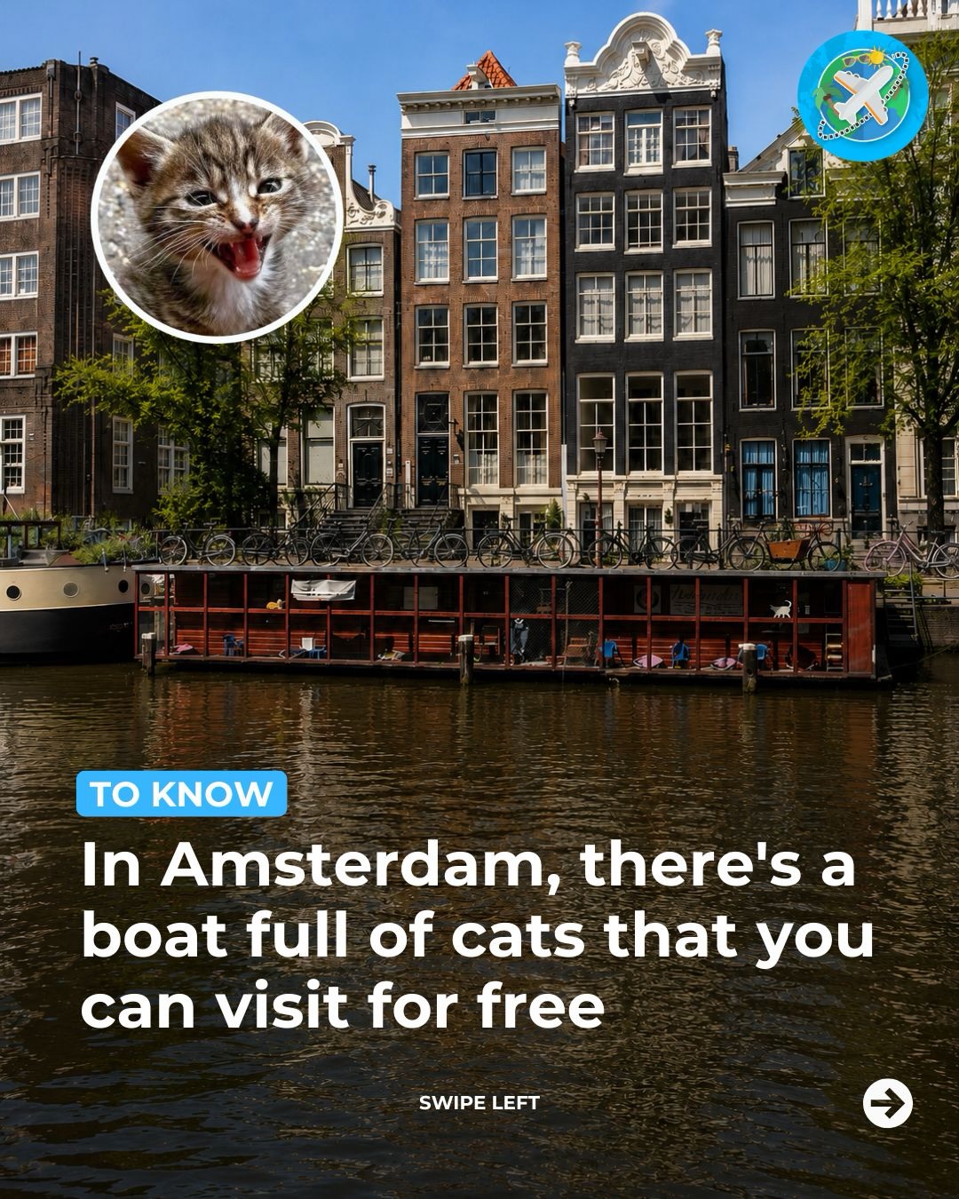 Floating Cat Sanctuary in Amsterdam