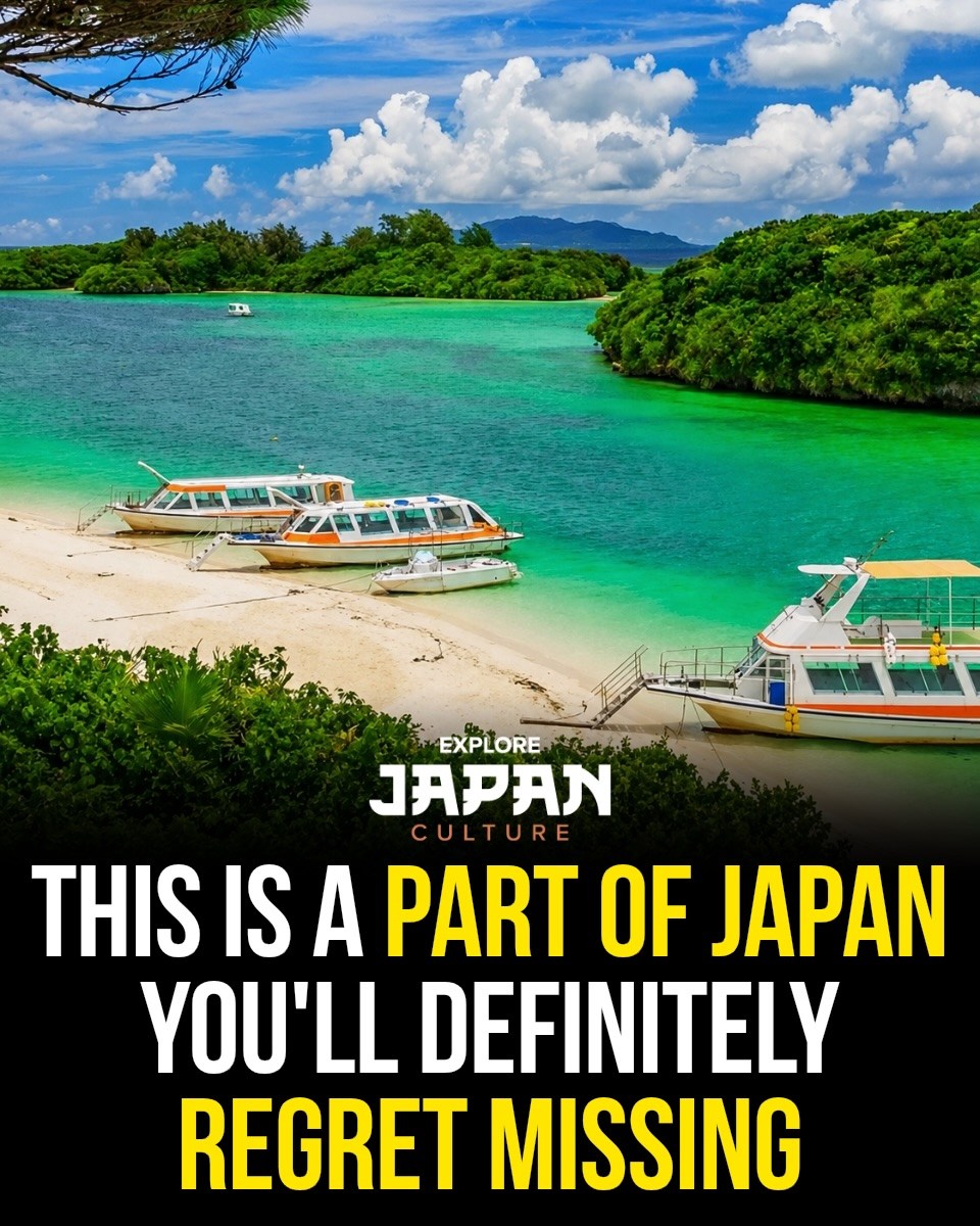 Explore Okinawa's Beaches, Culture, and Scenic Views