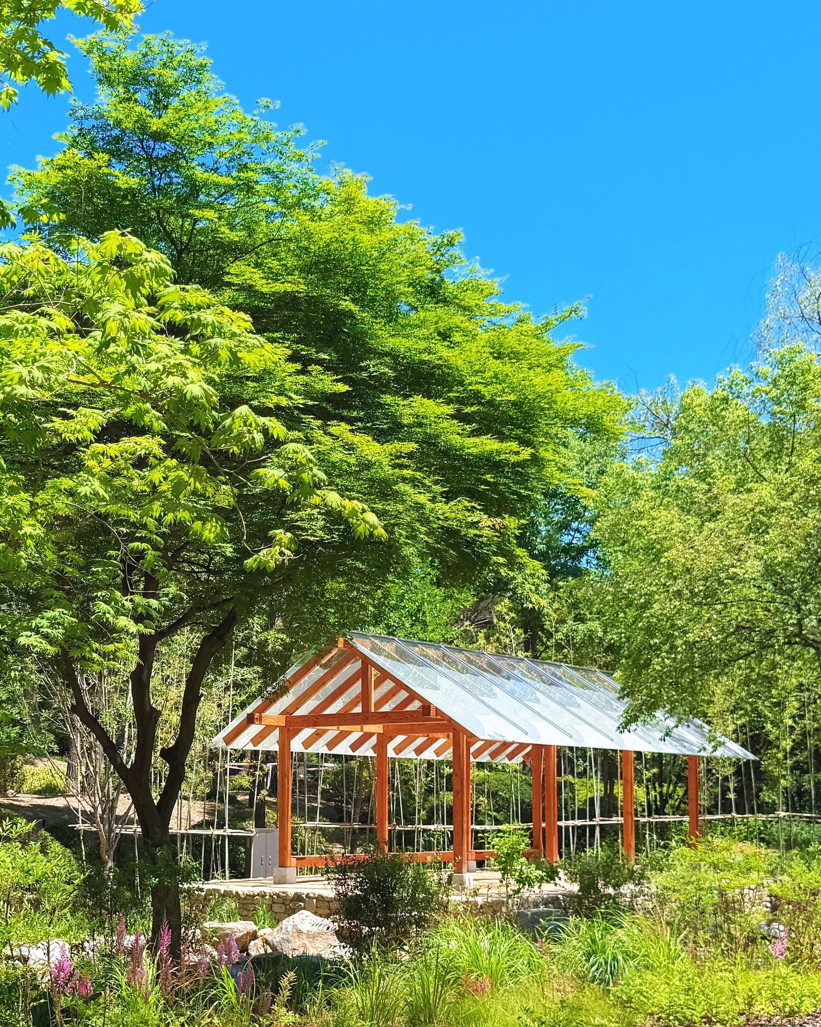 Korean Forest Garden Reborn at Namsan Botanical Garden