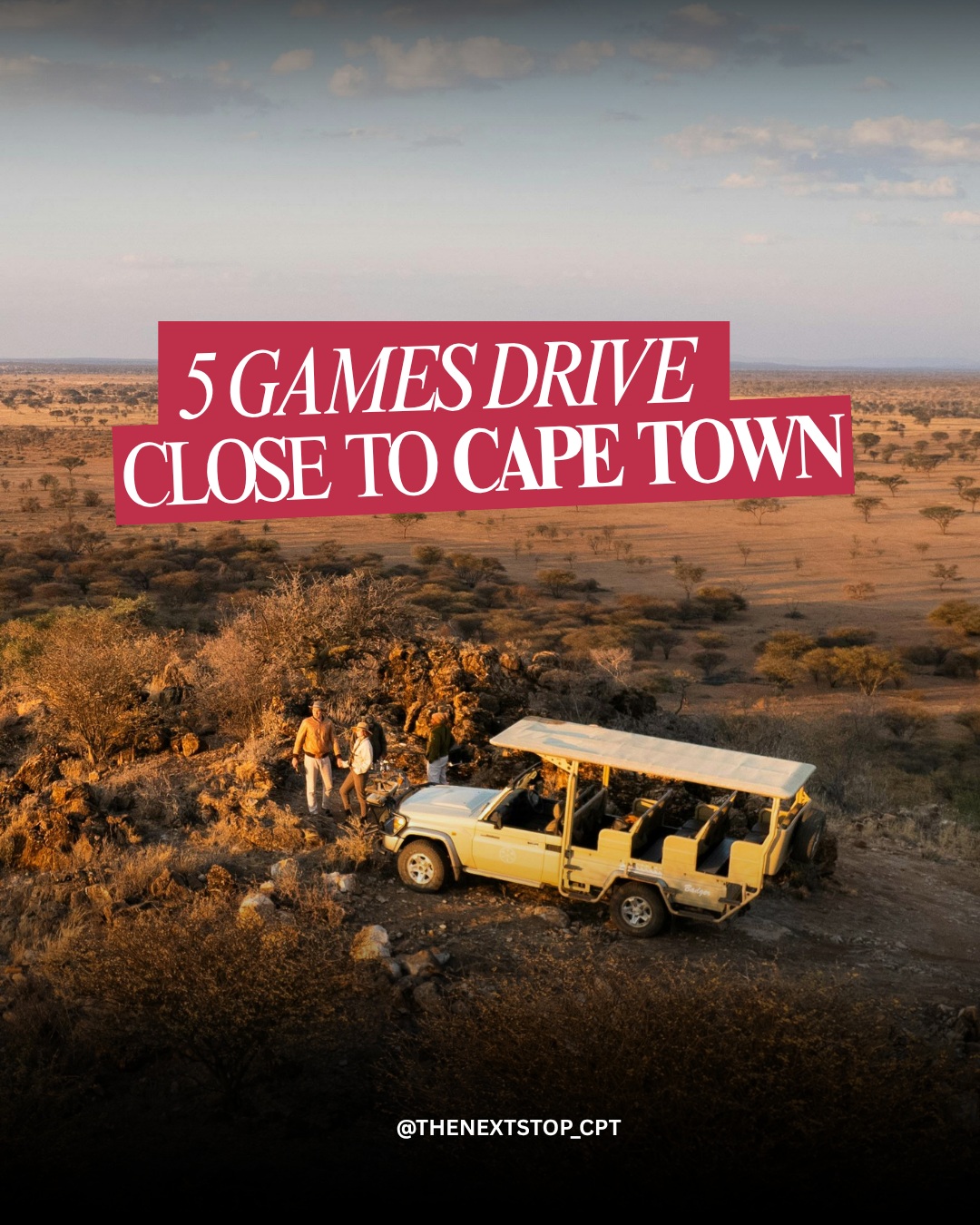 Four Cape Town Game Reserves Offer Safari Adventures