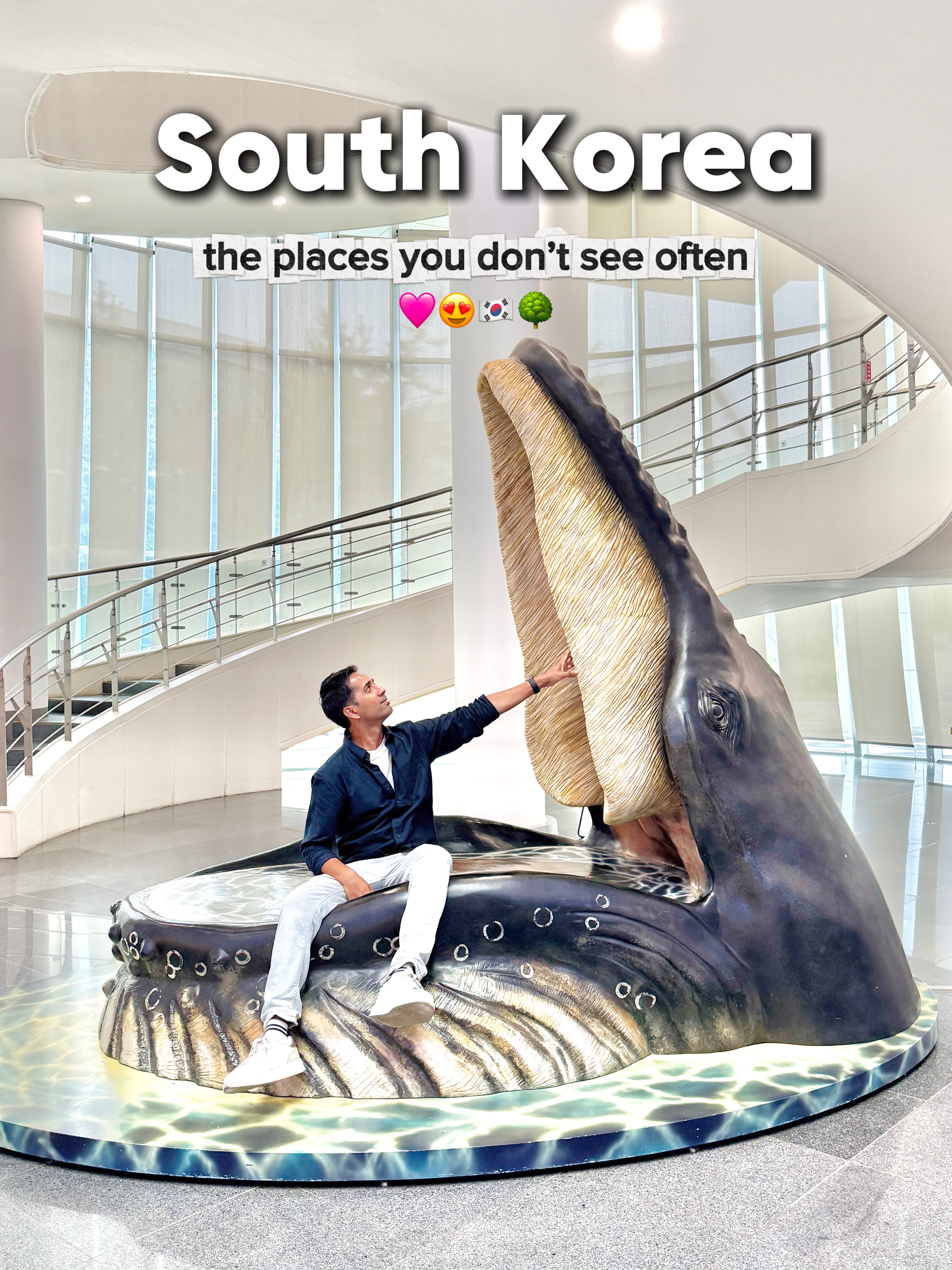 Seocheon's Ecological and Marine Wonders