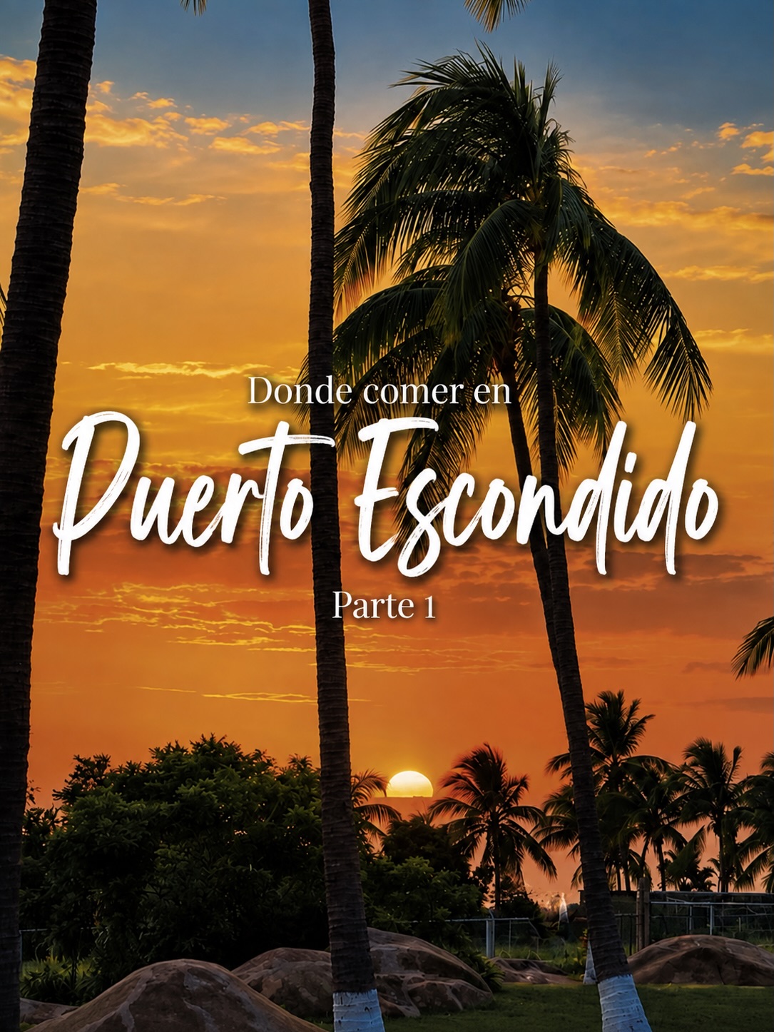 Best Places To Eat In Puerto Escondido