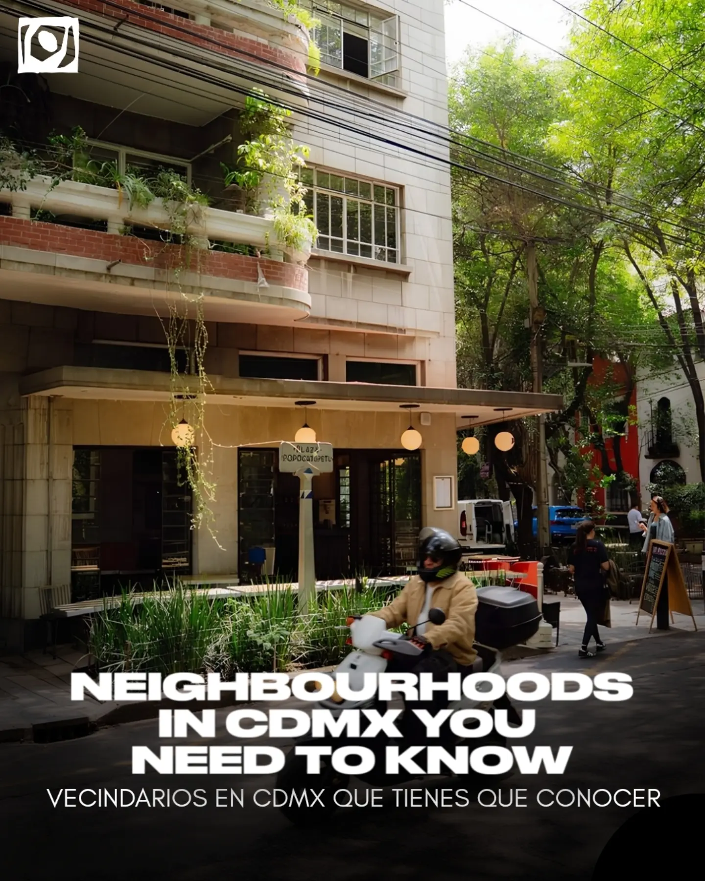 Explore Diverse Mexico City Neighborhoods And Attractions