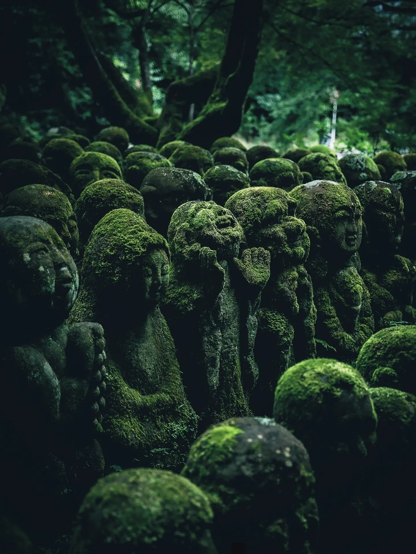 Kyoto's Moss-Covered Temples and Statues