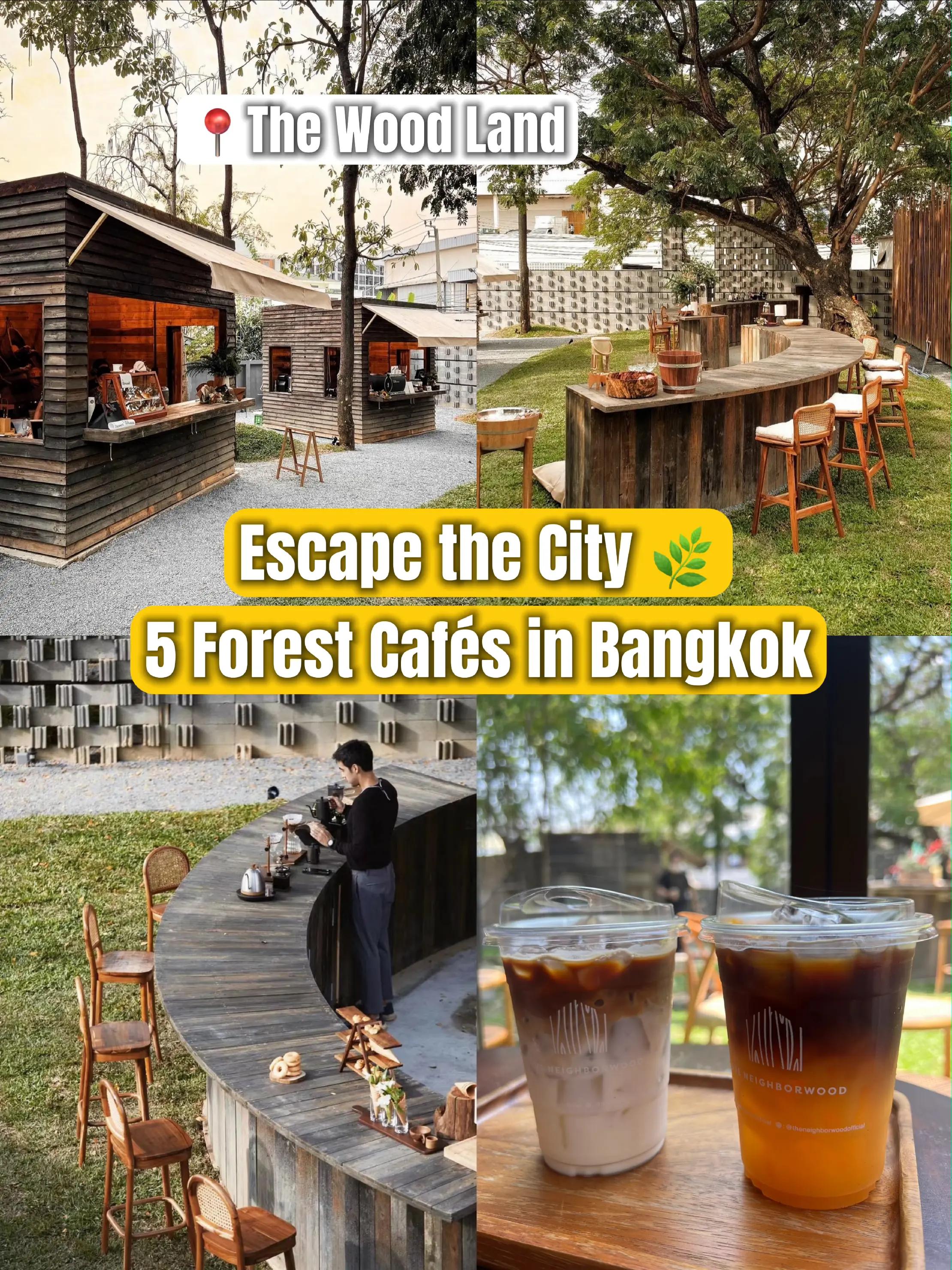 Bangkok's Top 5 Forest Cafes for a Peaceful Escape