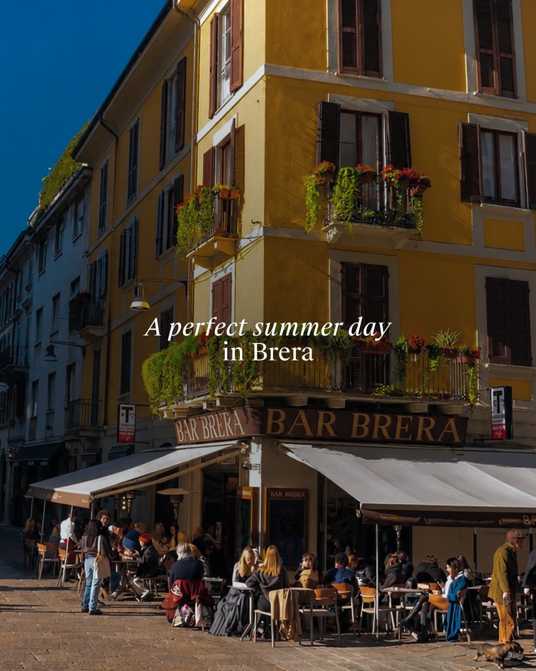 Brera: Art, Gardens, and Food in Milan