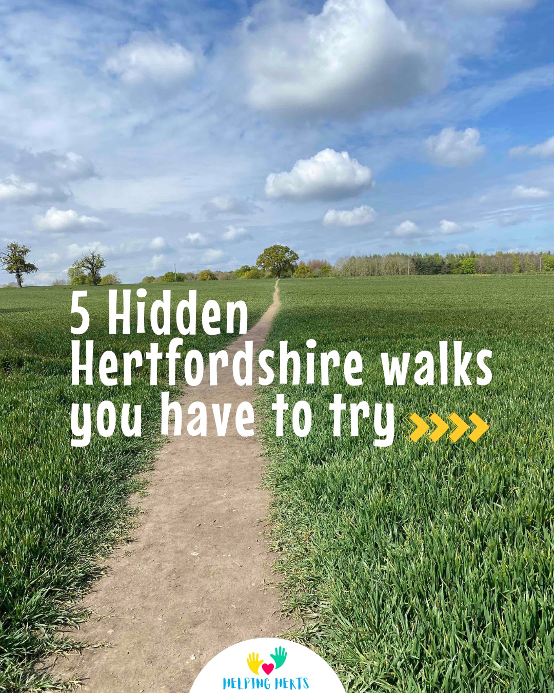 Five Peaceful Hertfordshire Nature Walks