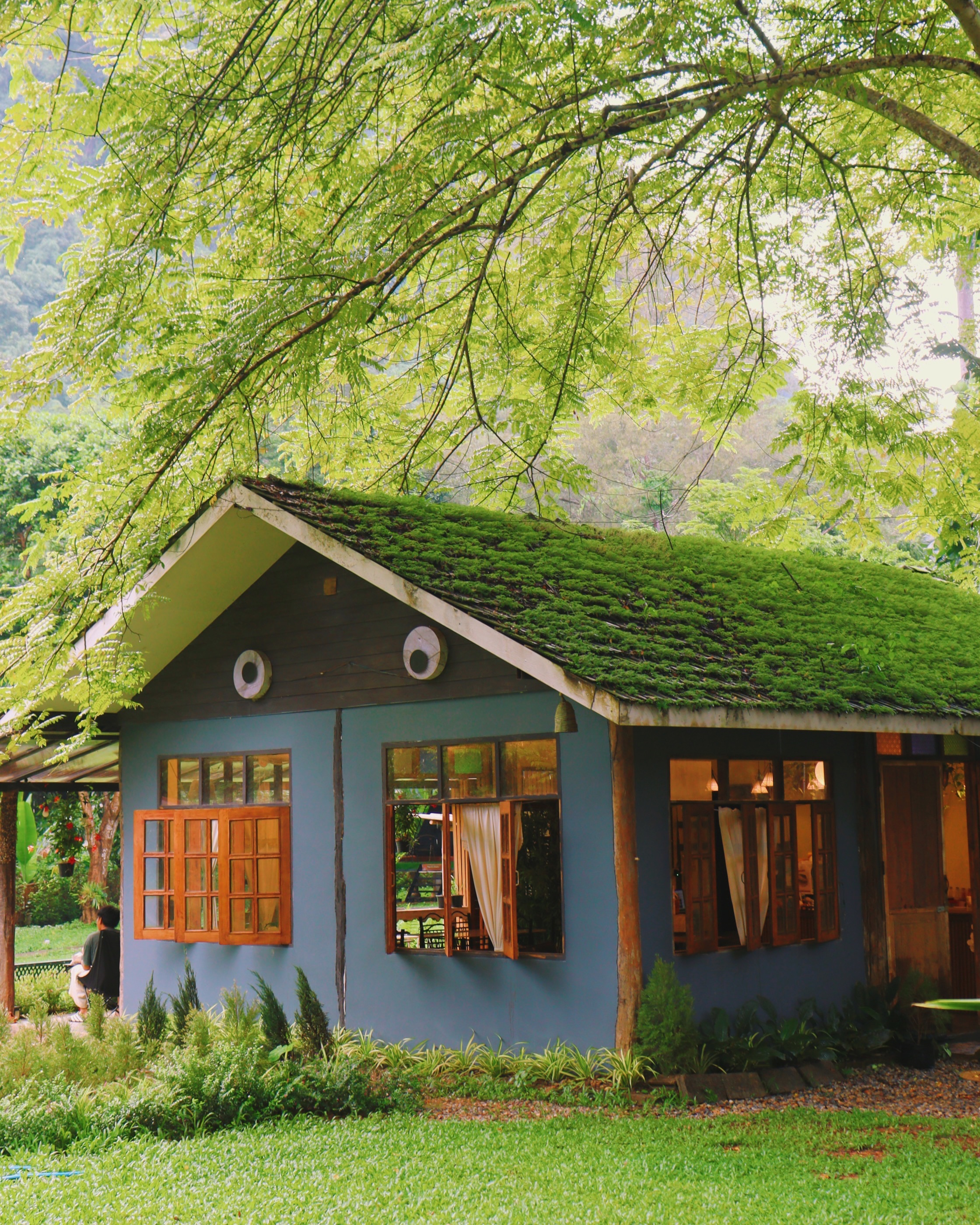 Grandpa Hill Cabin: A Chiang Dao Nature Escape