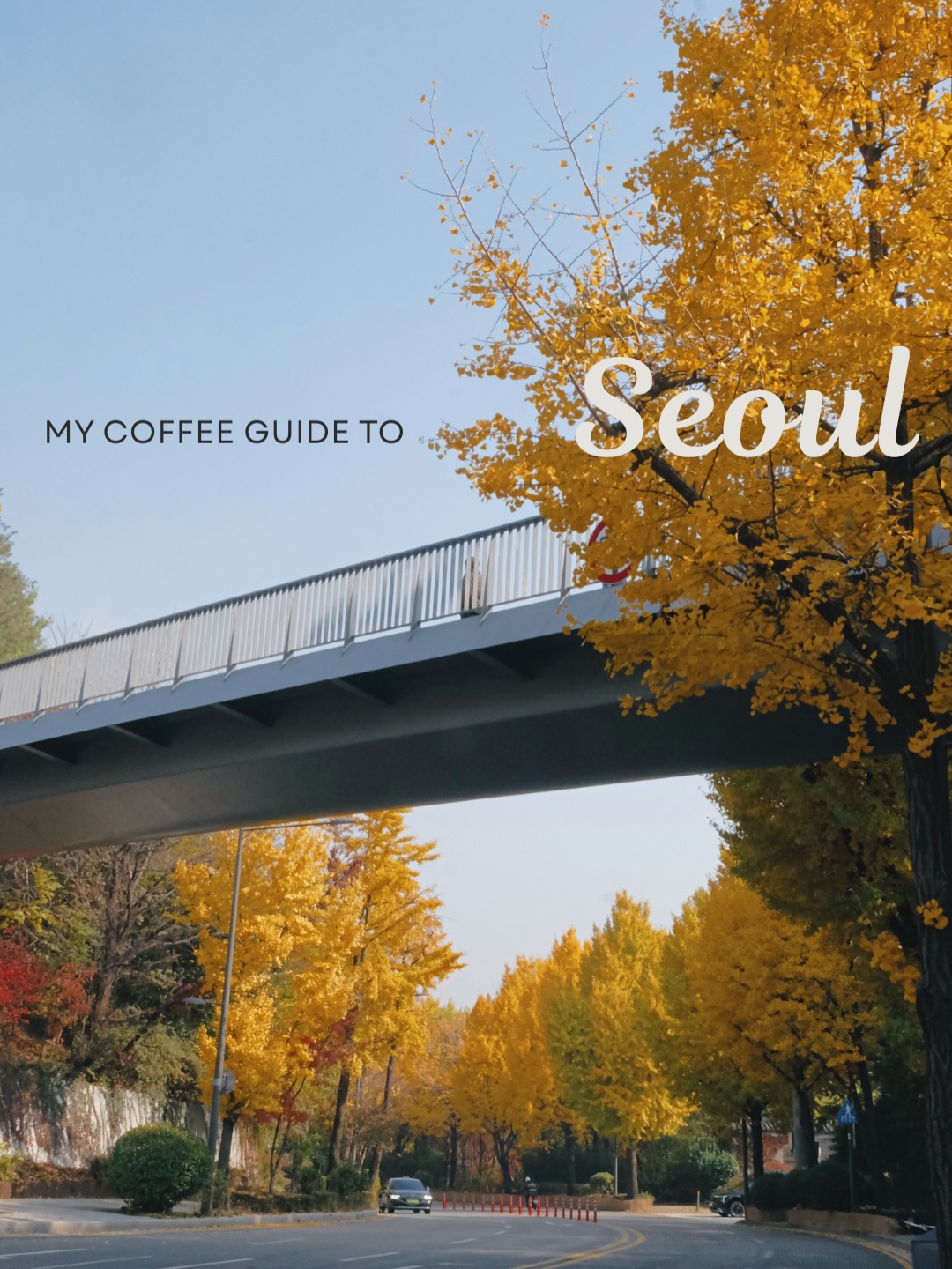 Seoul Cafes Perfect For Autumn Adventures
