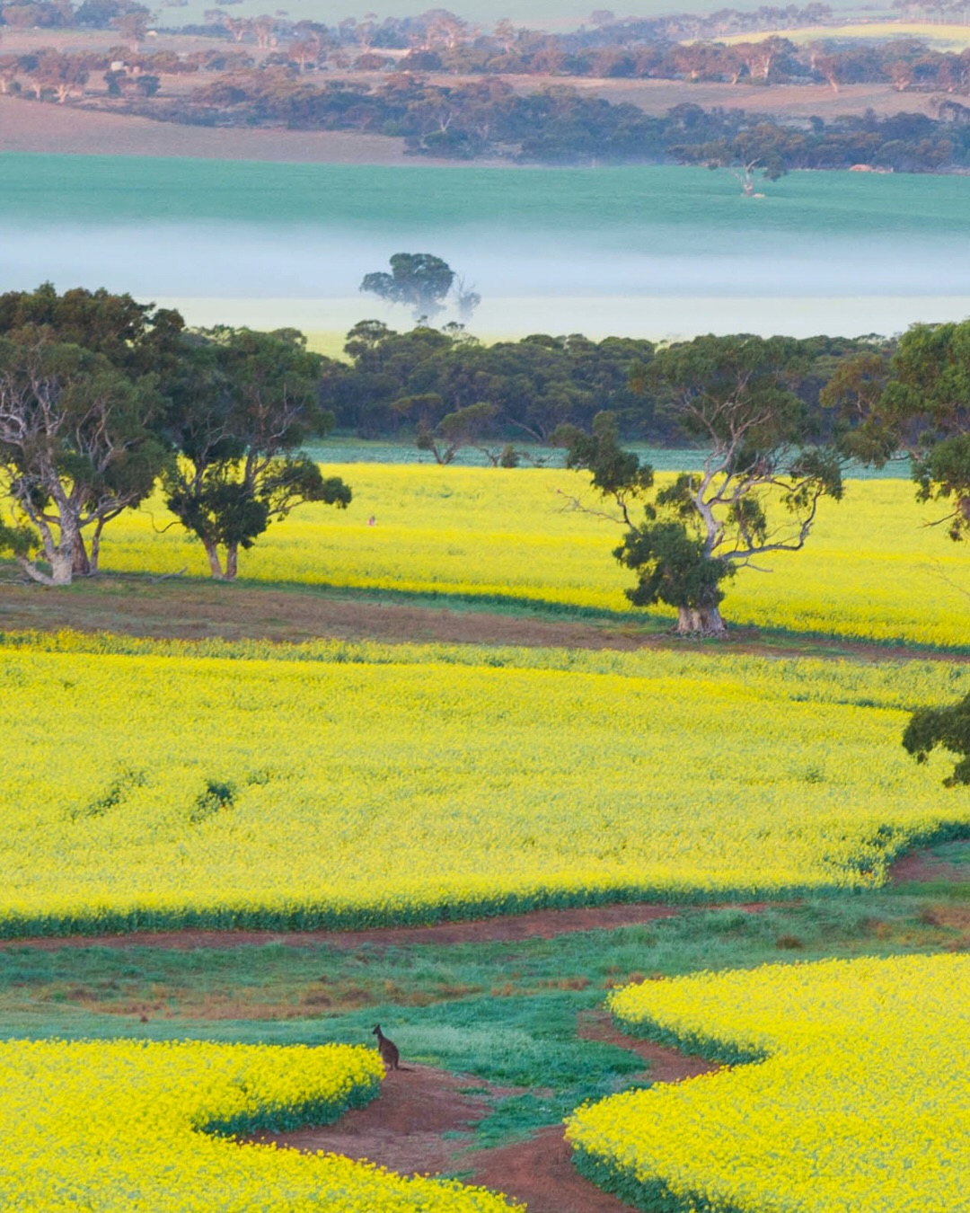 Visit Adelaide Hills, Adelaide Hills Council