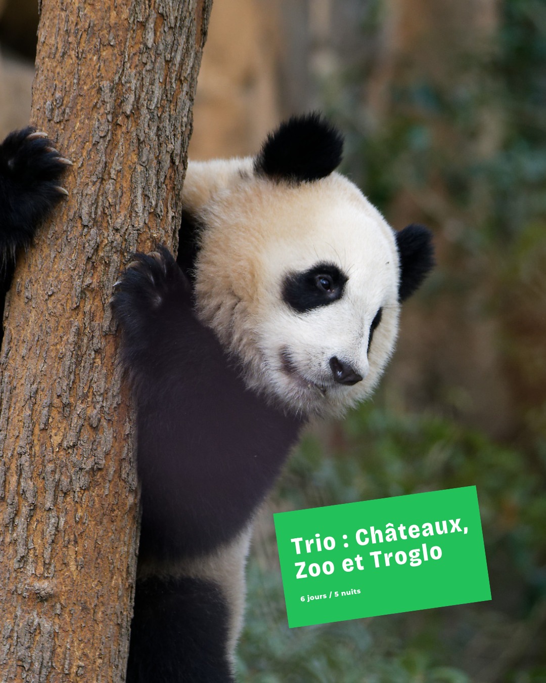 Loire Valley Chateaux, Gardens, Zoo, and Caves