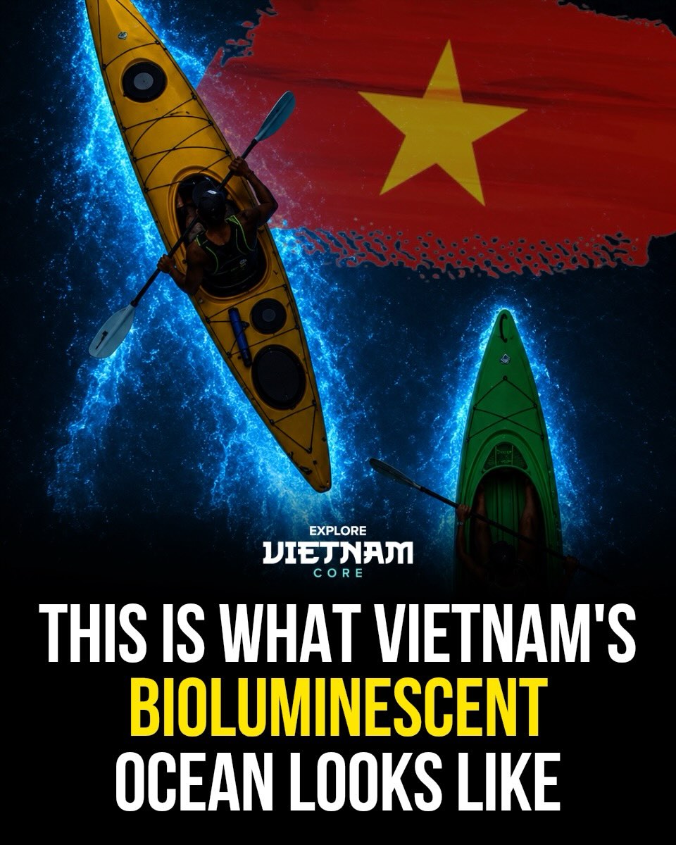 Kayaking Through Vietnam's Bioluminescent Waters
