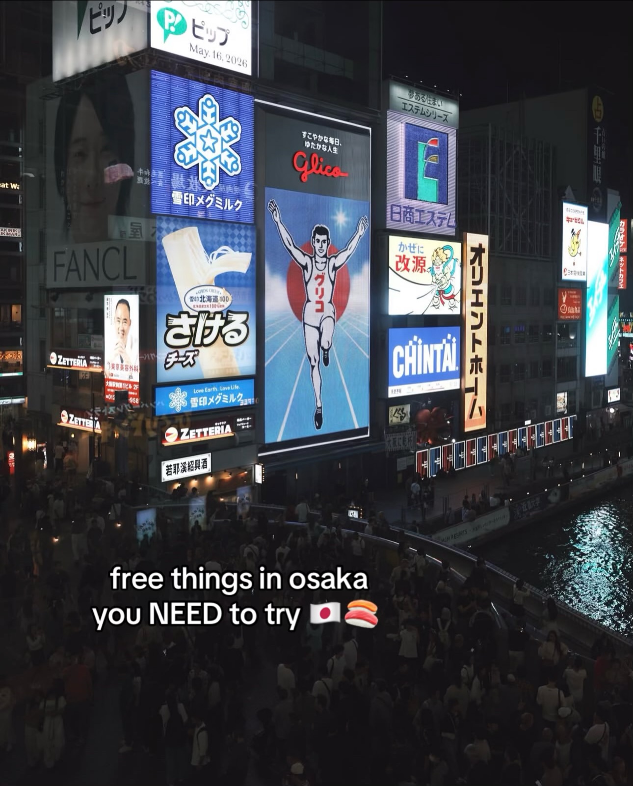 Osaka's Unique Temples, Parks, and Museums
